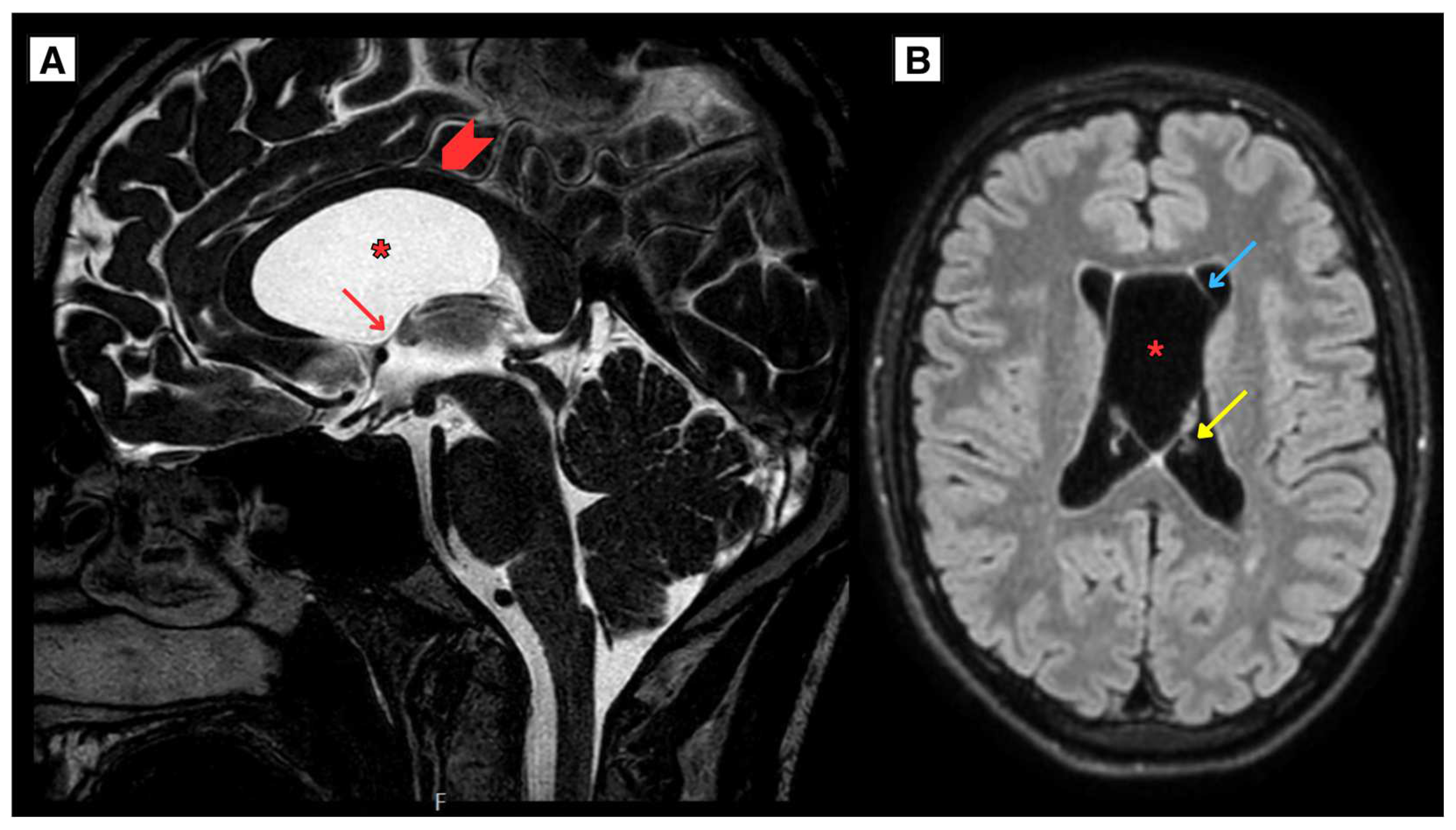 Preprints 156265 g002