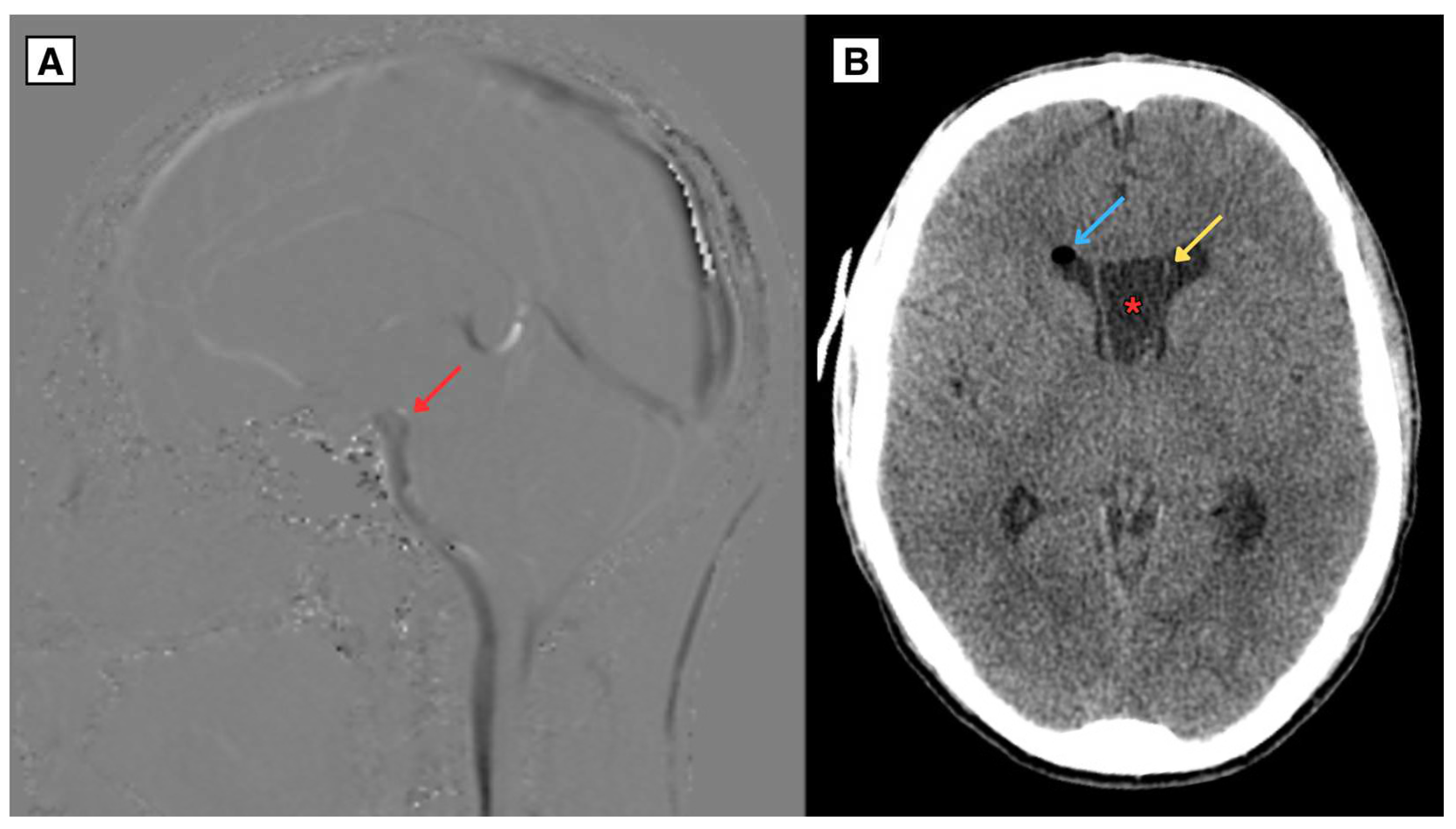 Preprints 156265 g003