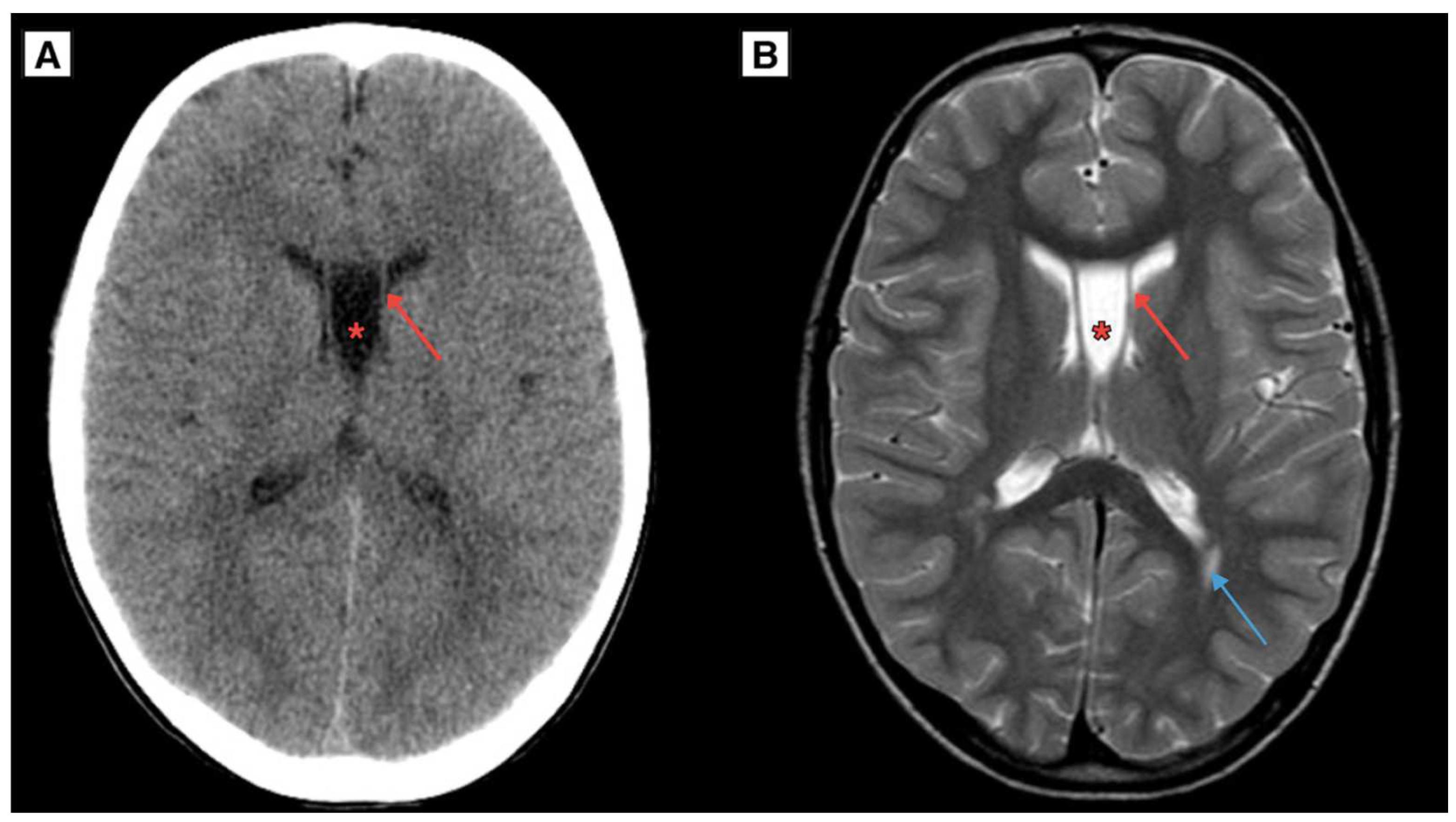 Preprints 156265 g004