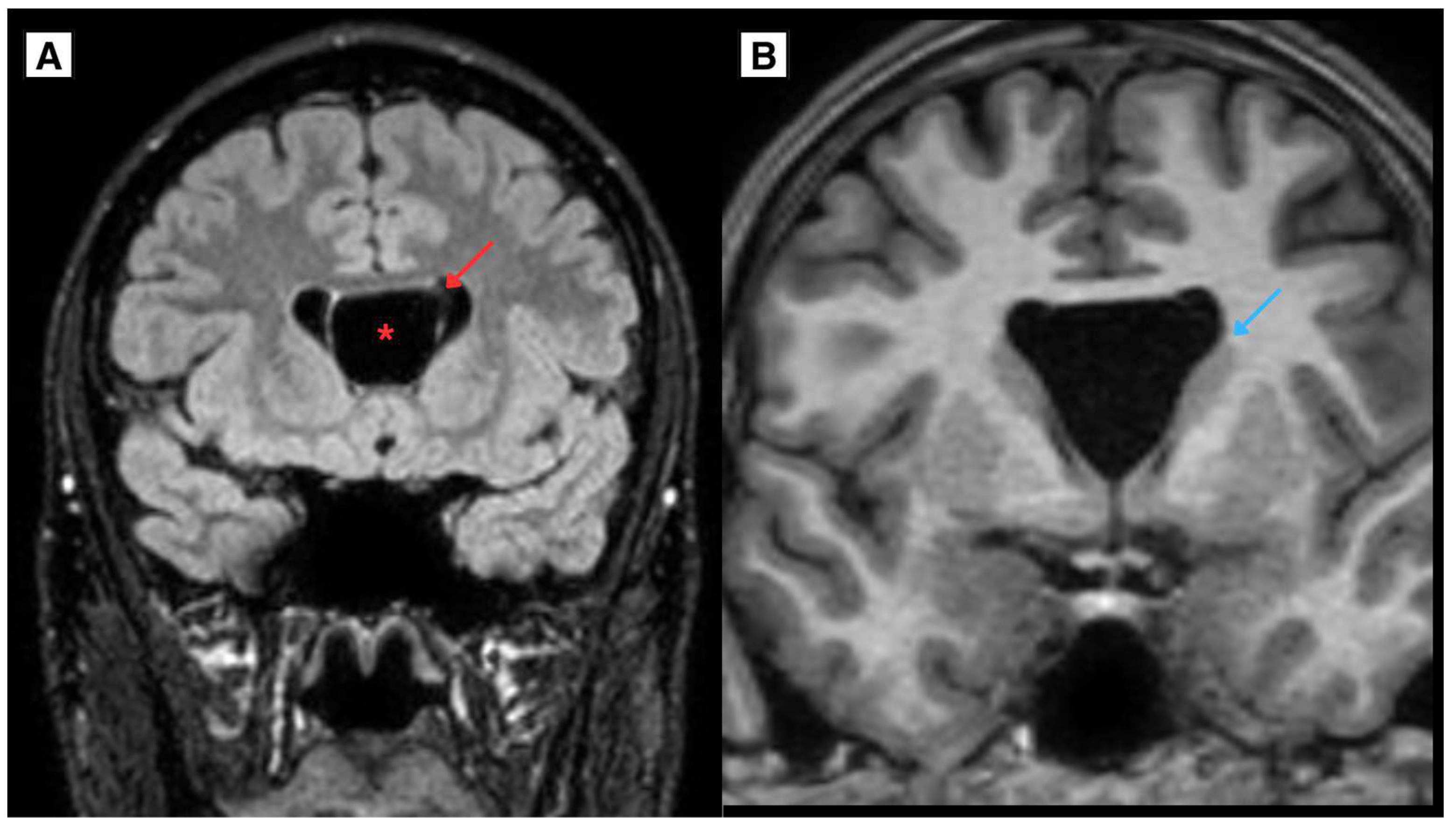 Preprints 156265 g005