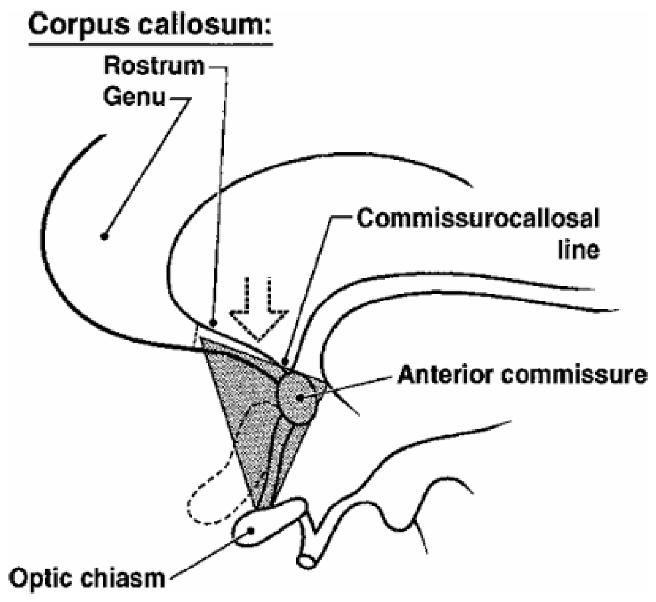 Preprints 156265 g006