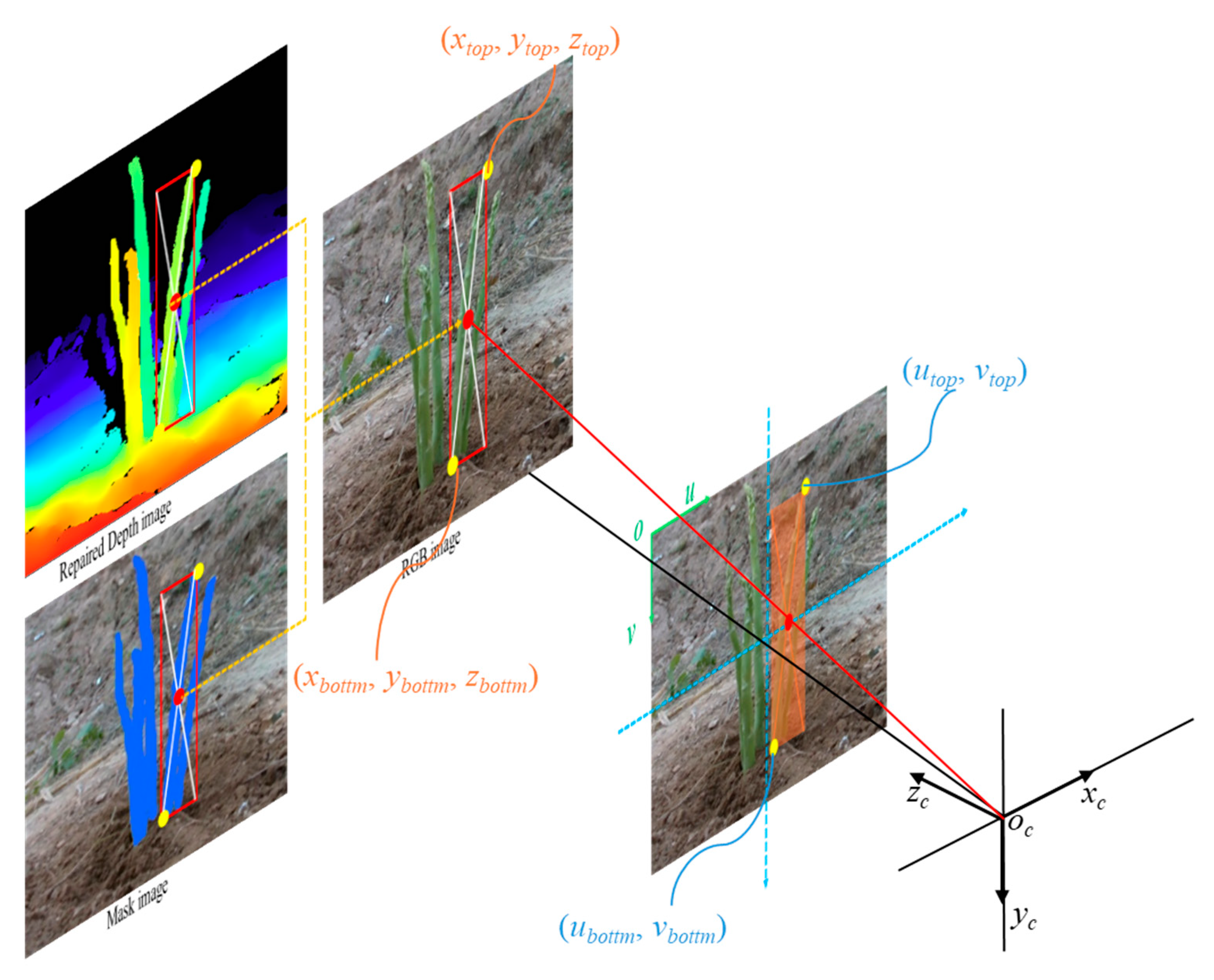 Preprints 145047 g009