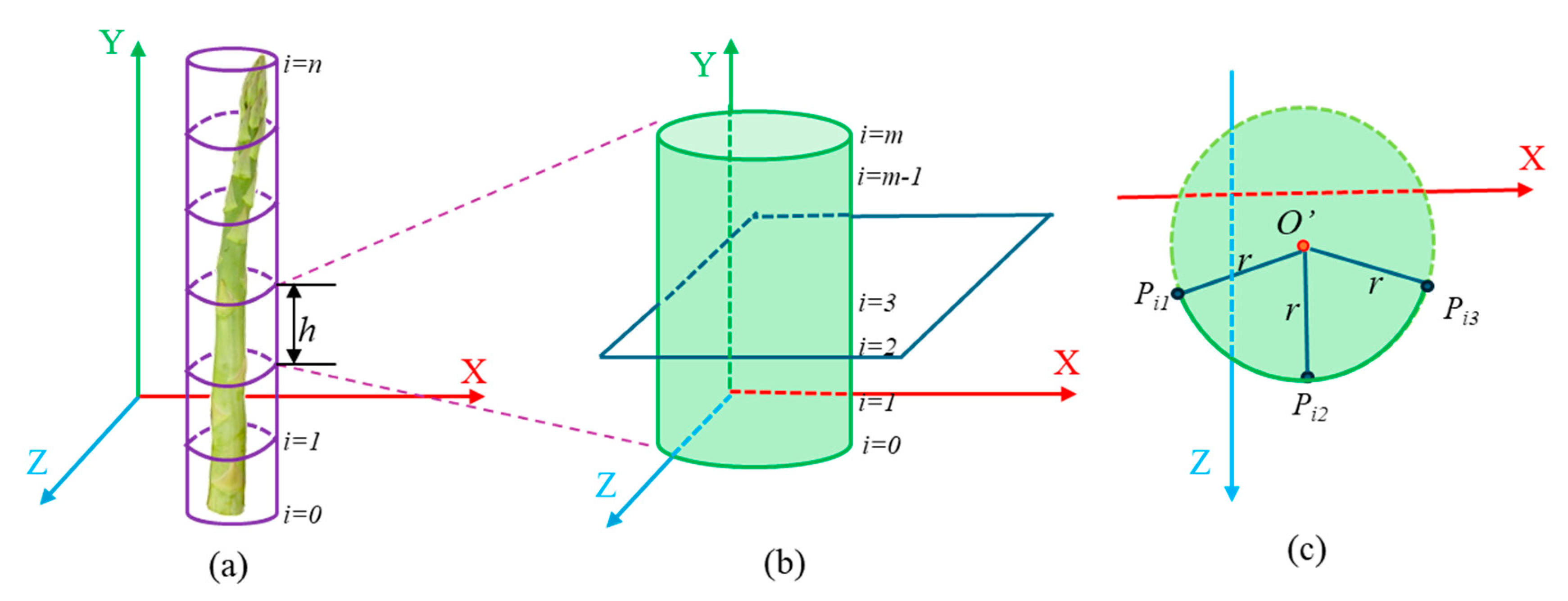 Preprints 145047 g012