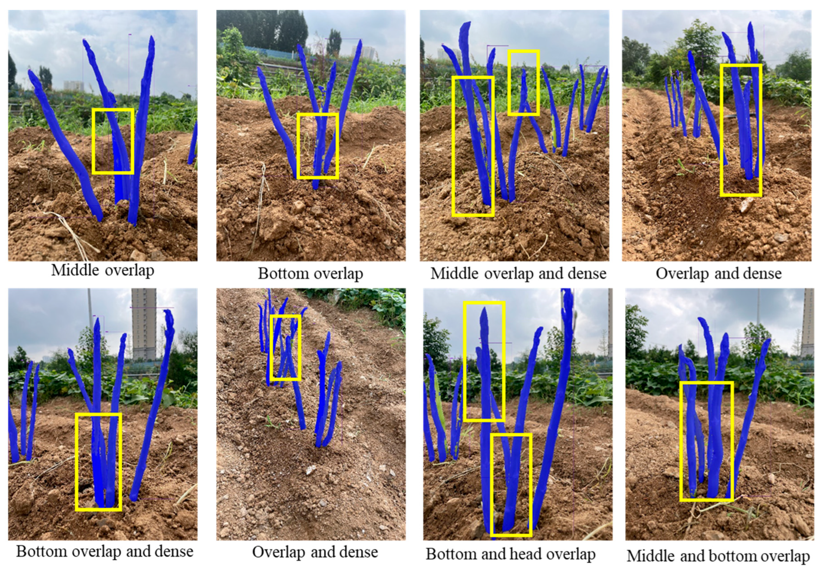 Preprints 145047 g014