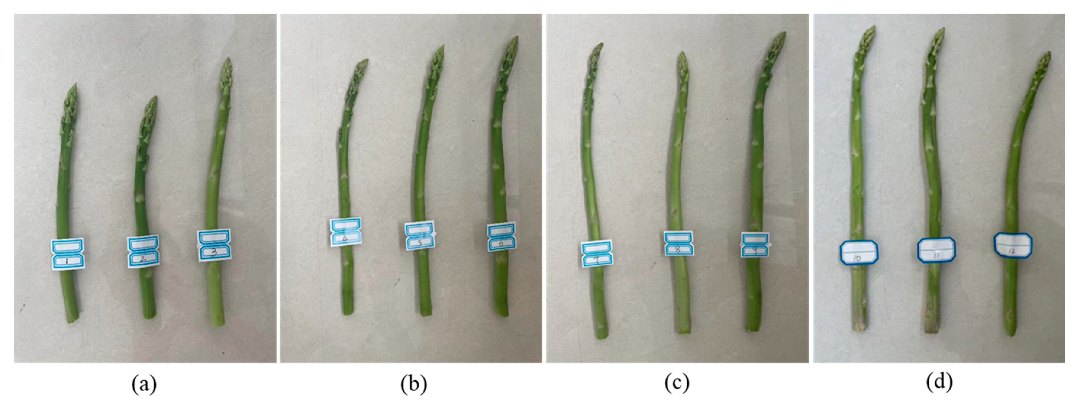Preprints 145047 g016