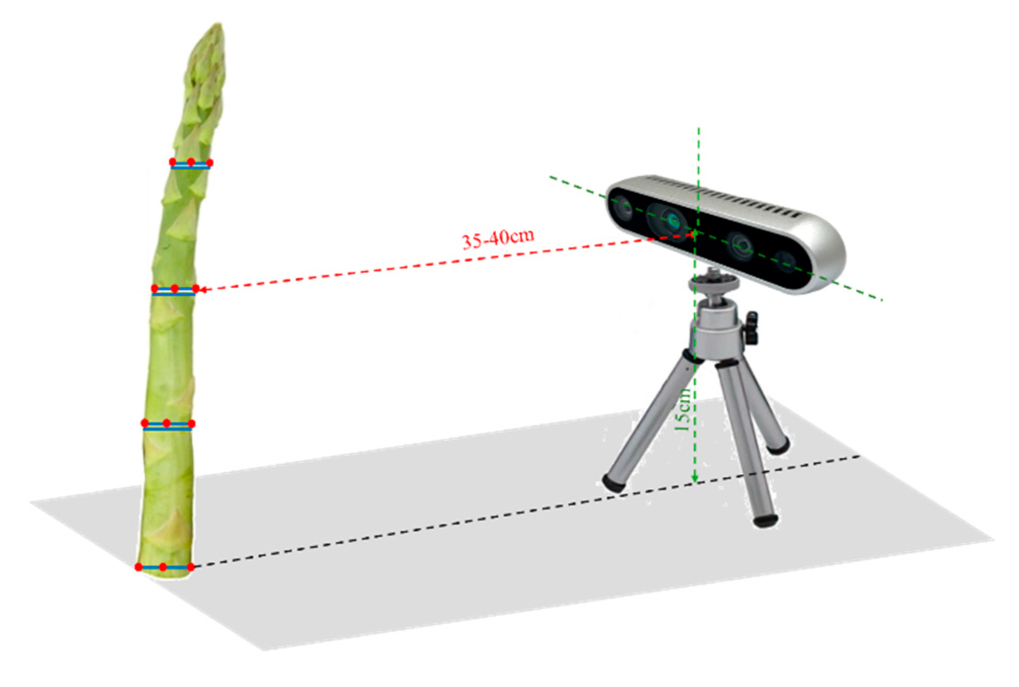 Preprints 145047 g017