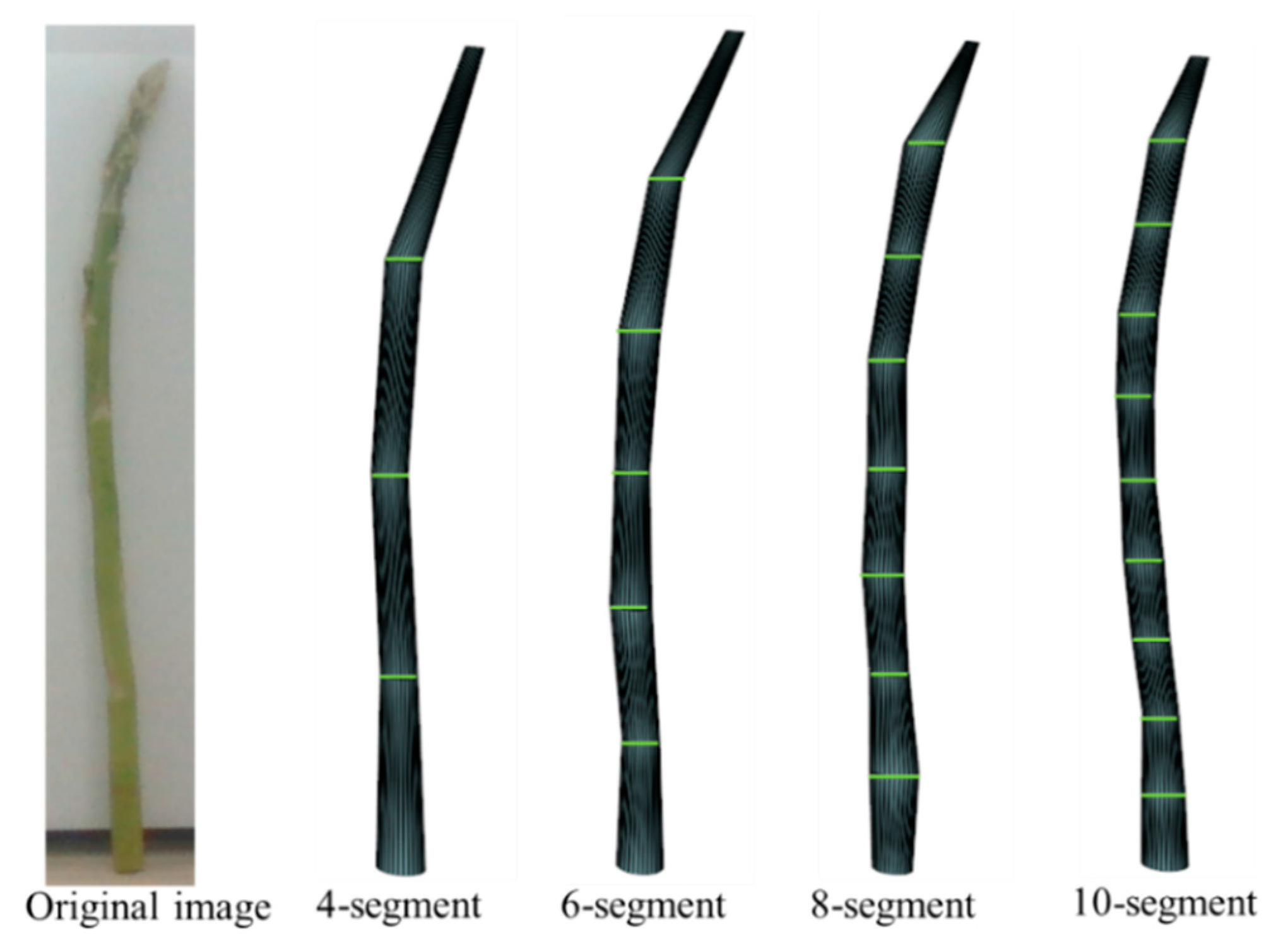 Preprints 145047 g018