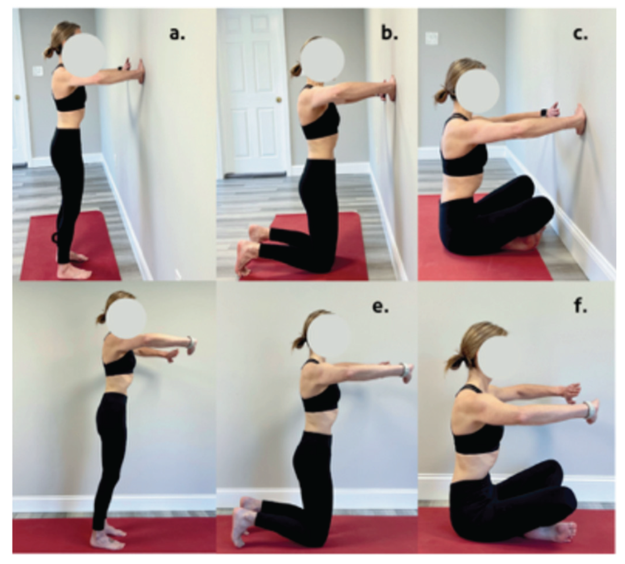 Preprints 159807 g001