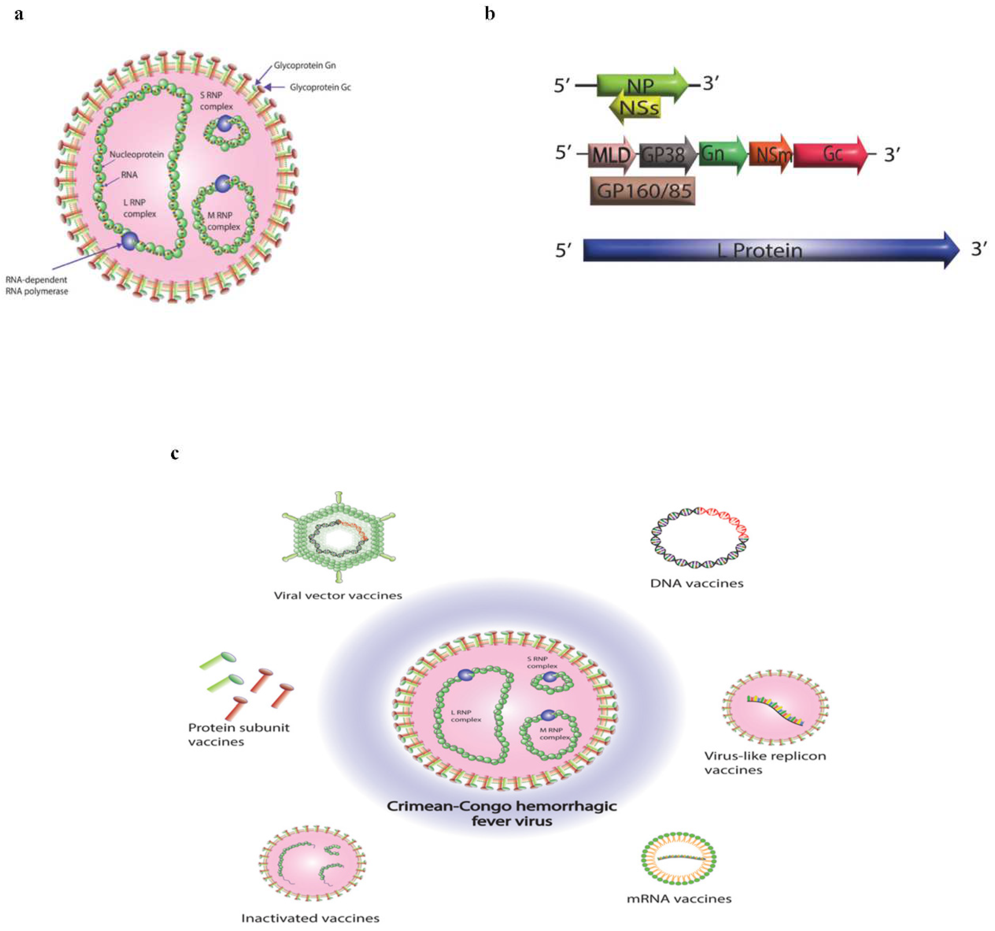Preprints 77894 g001