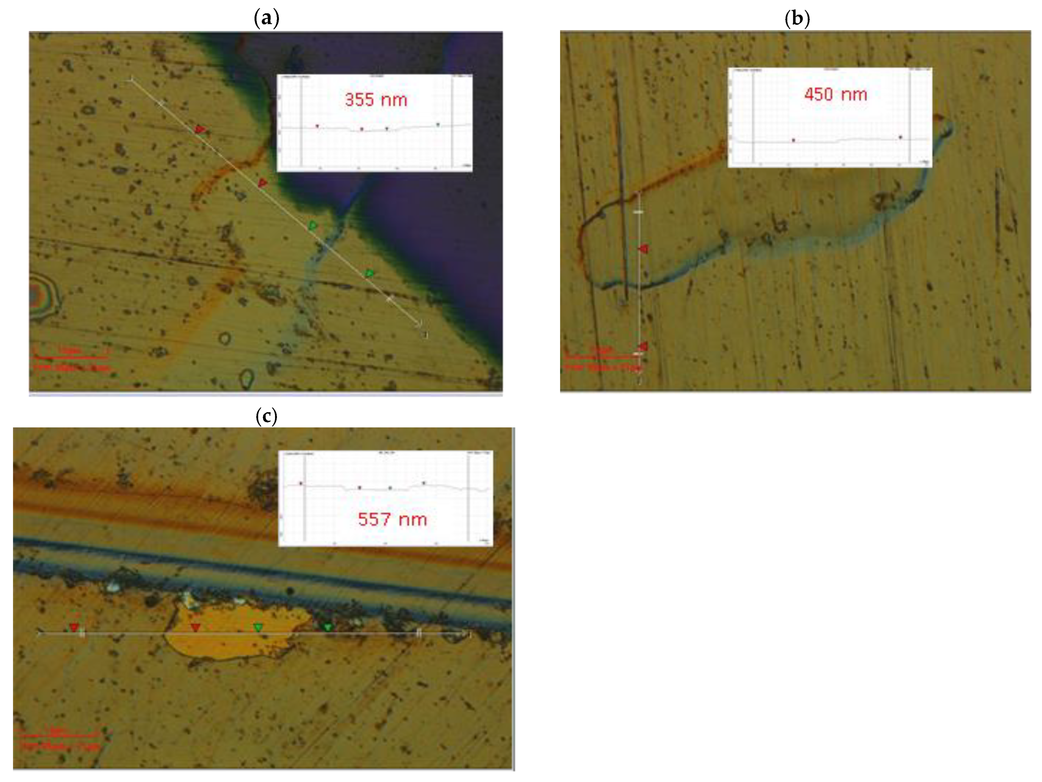 Preprints 166018 g007