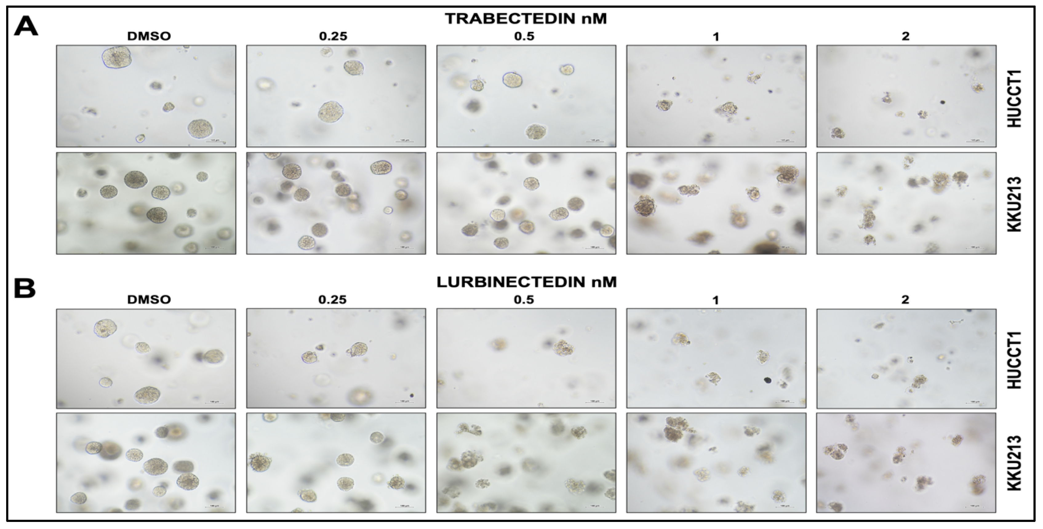 Preprints 168881 g003