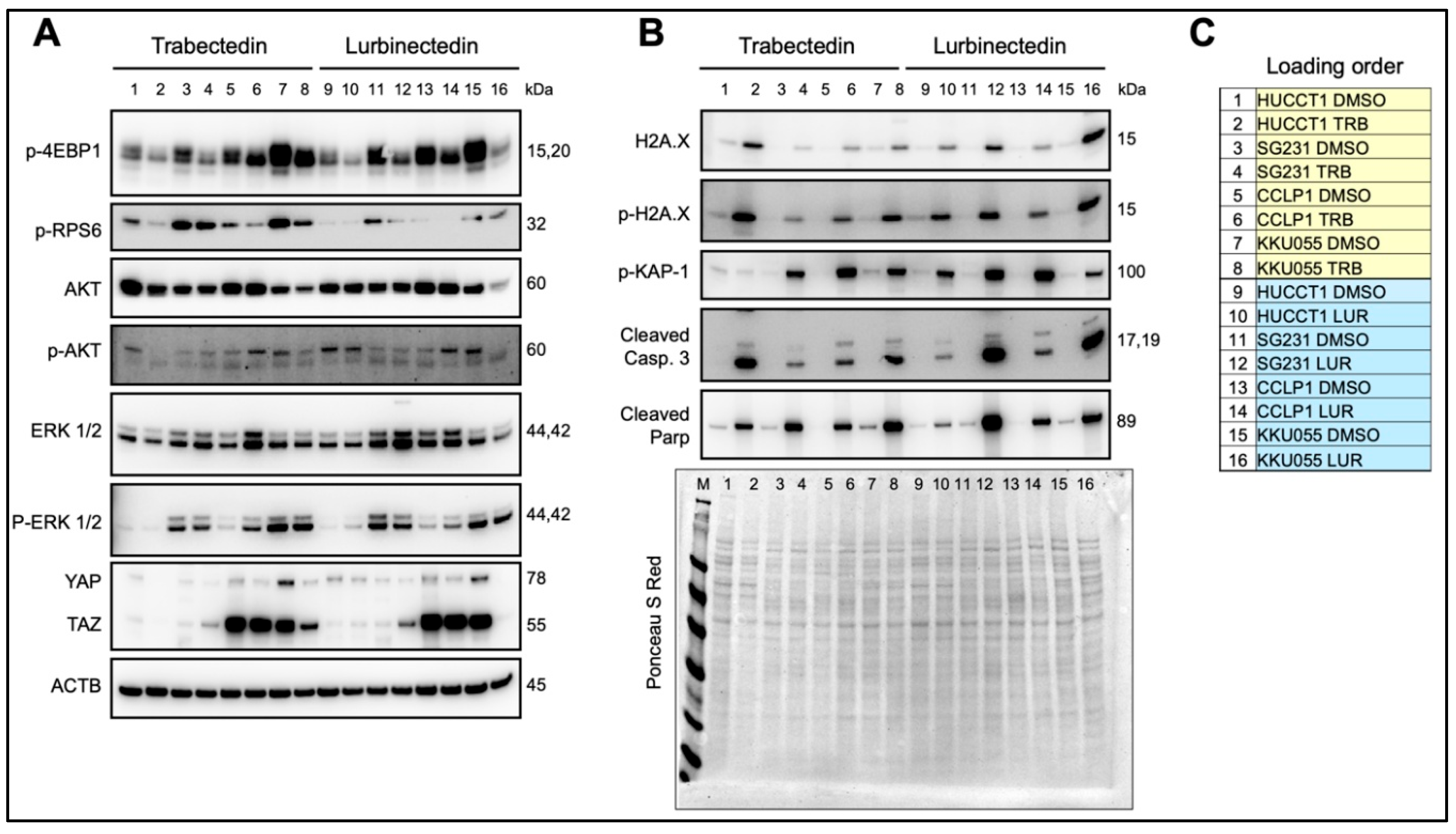 Preprints 168881 g005