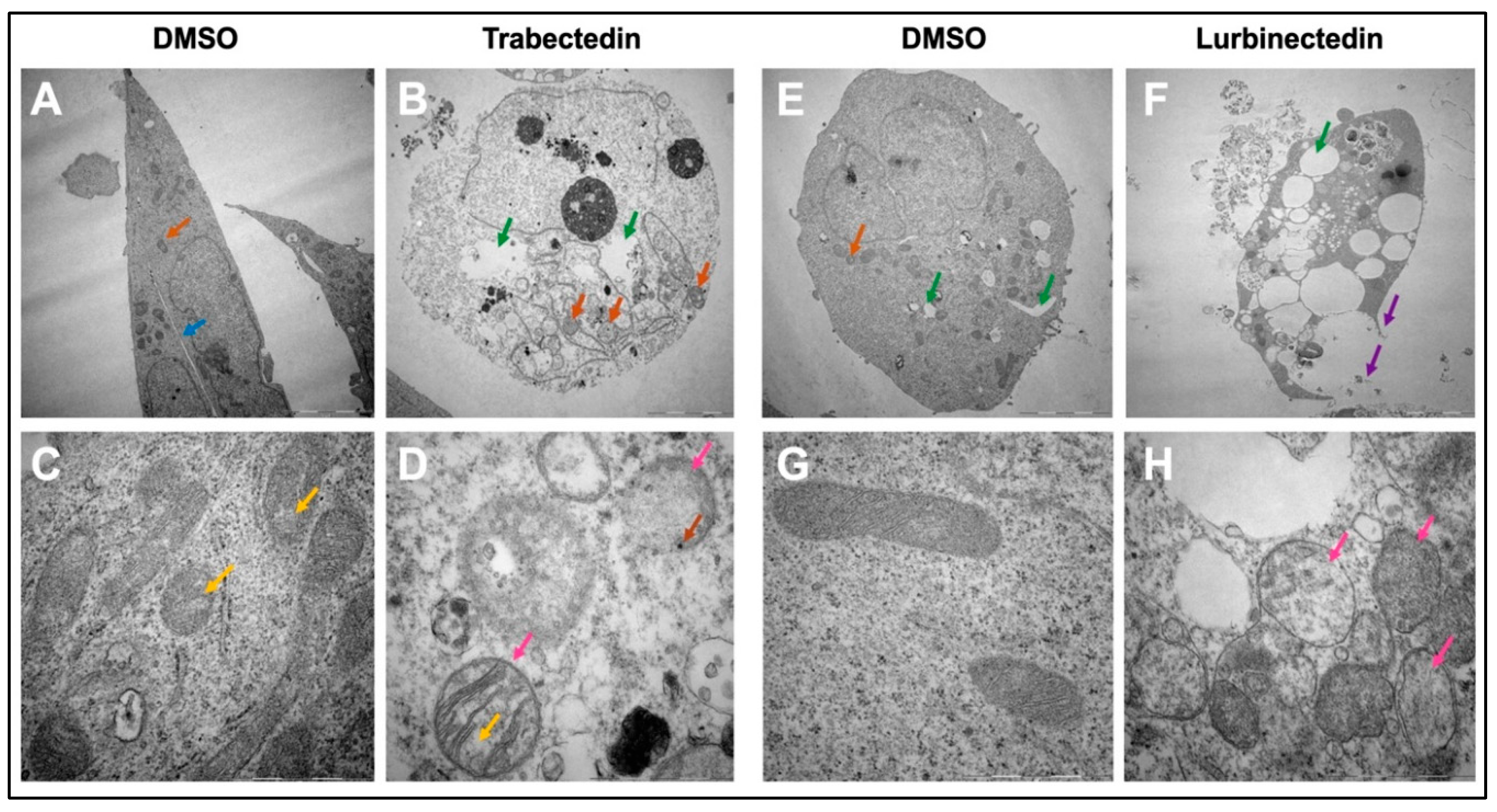 Preprints 168881 g008