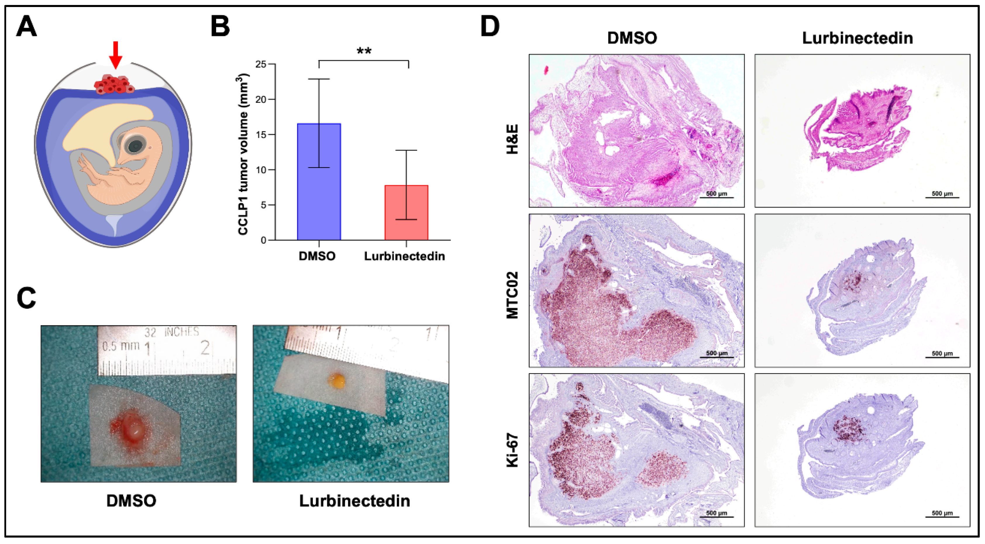 Preprints 168881 g011