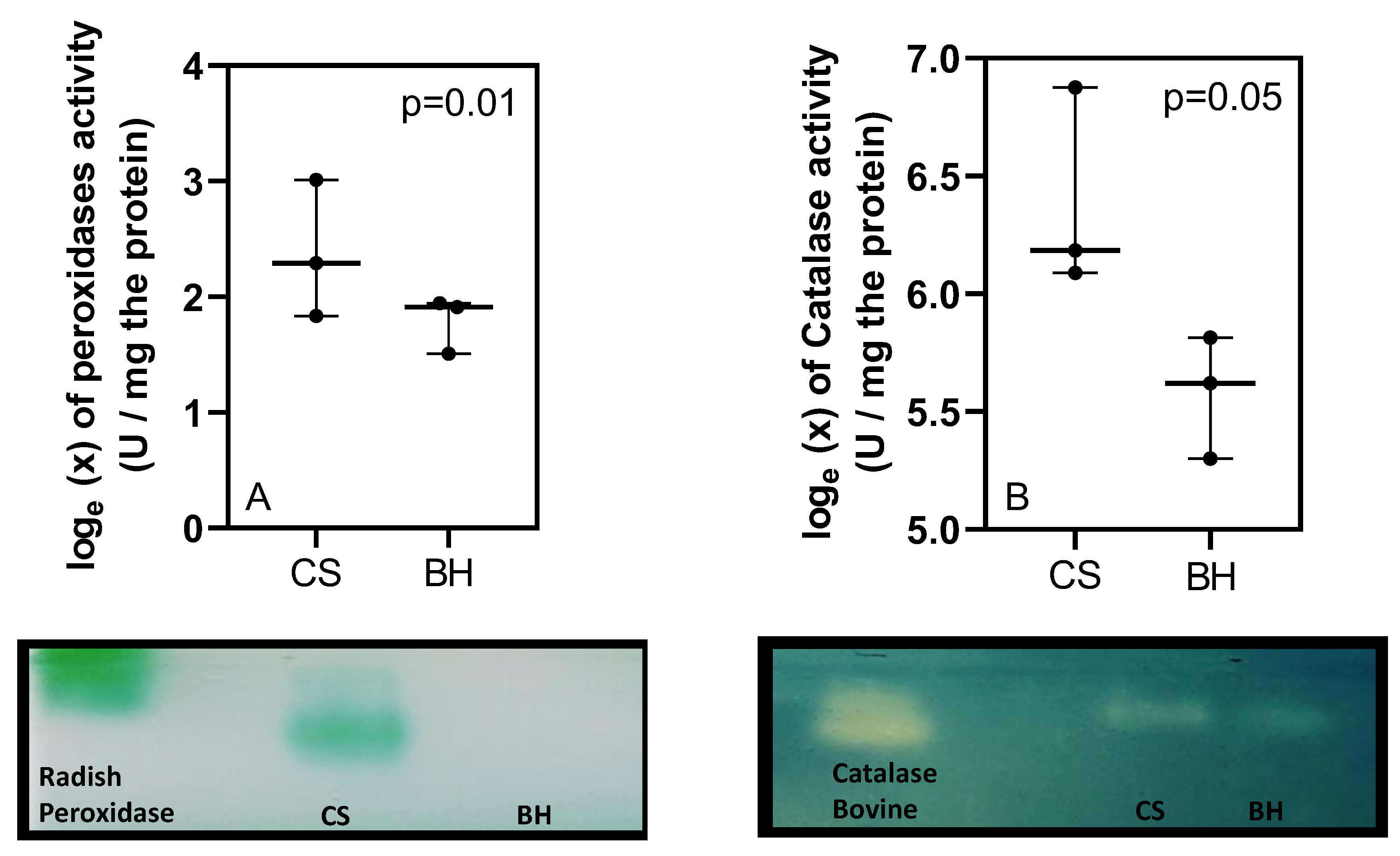 Preprints 151432 g004