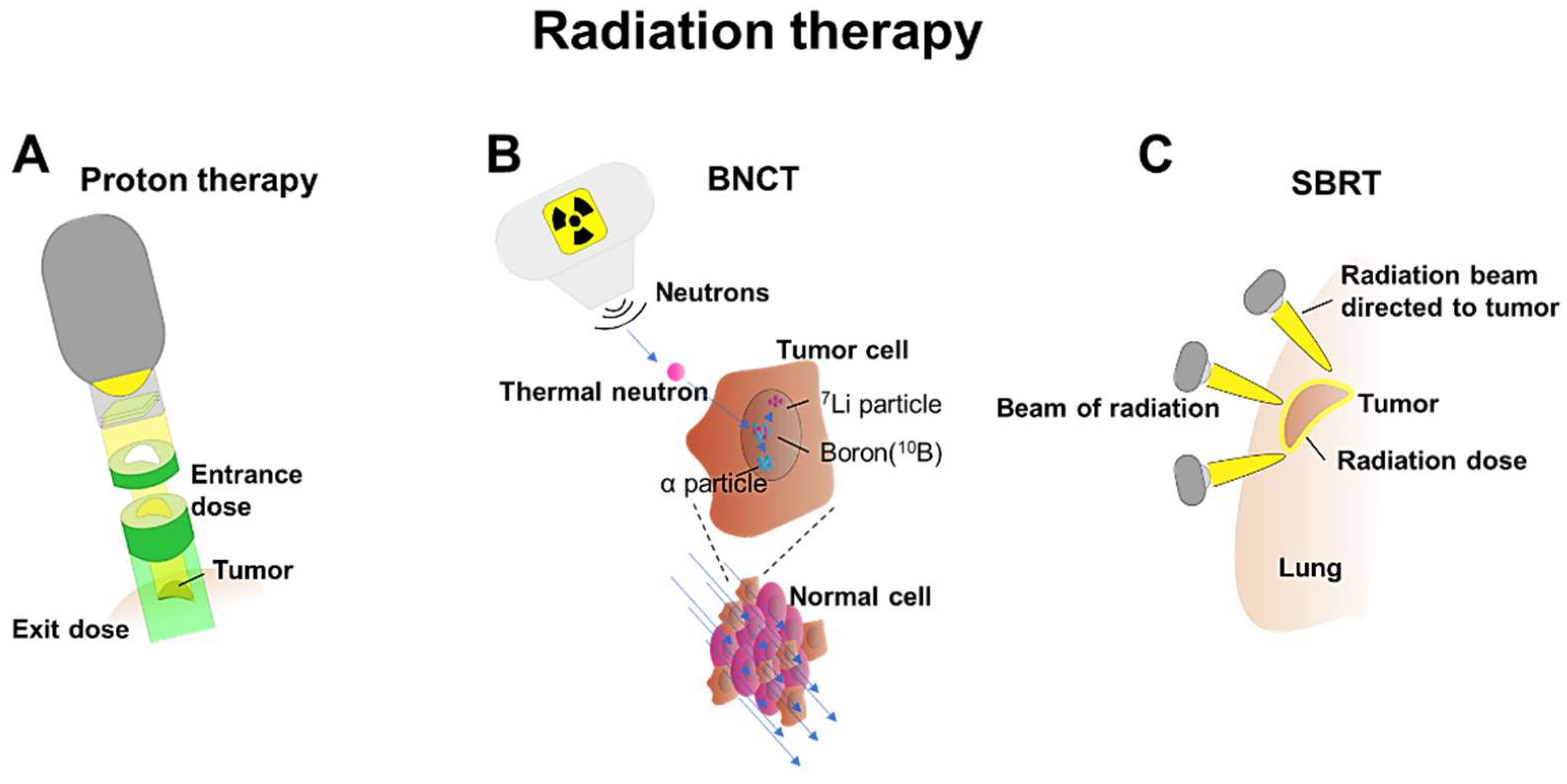 Preprints 97183 g001