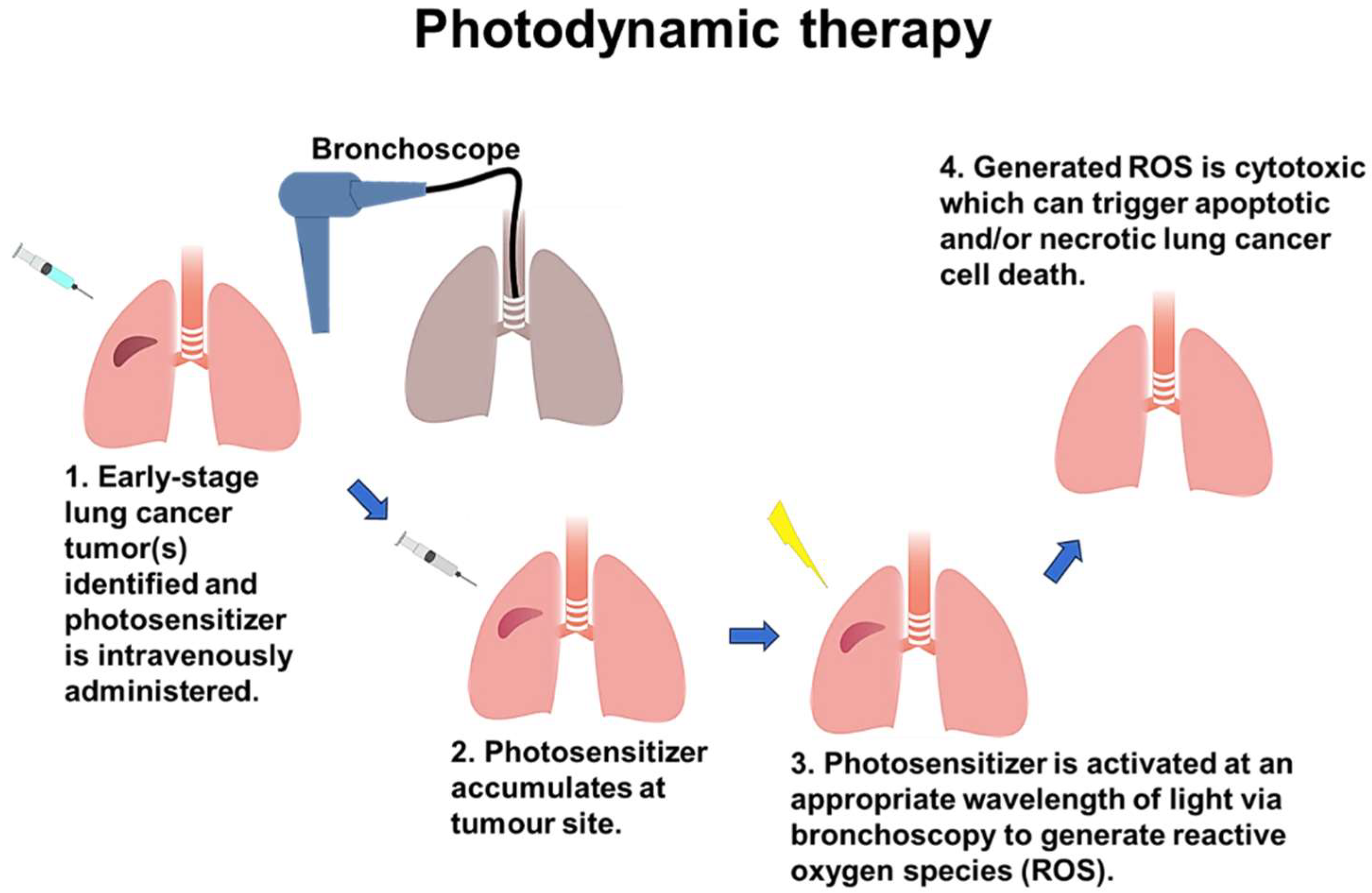 Preprints 97183 g002