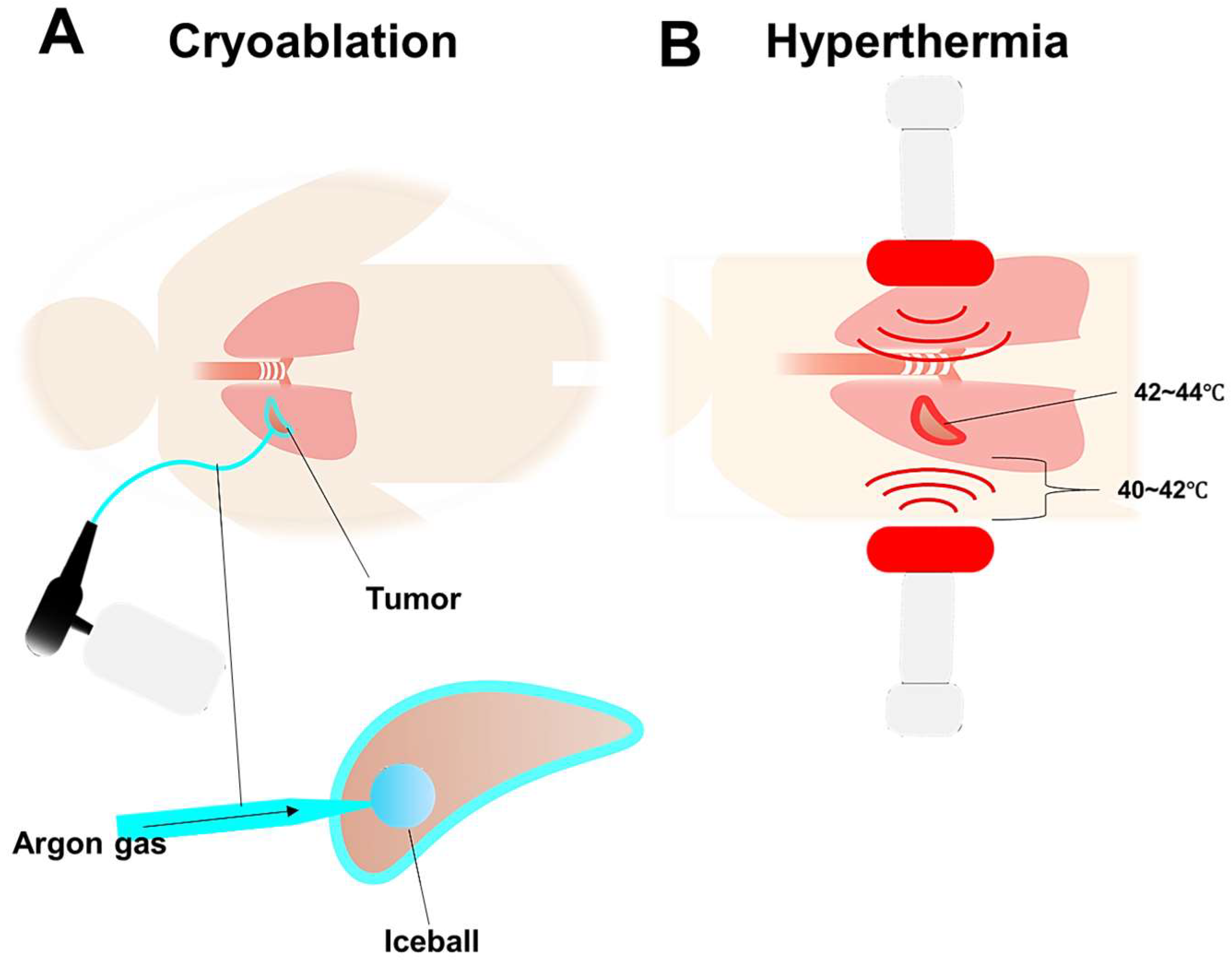 Preprints 97183 g003