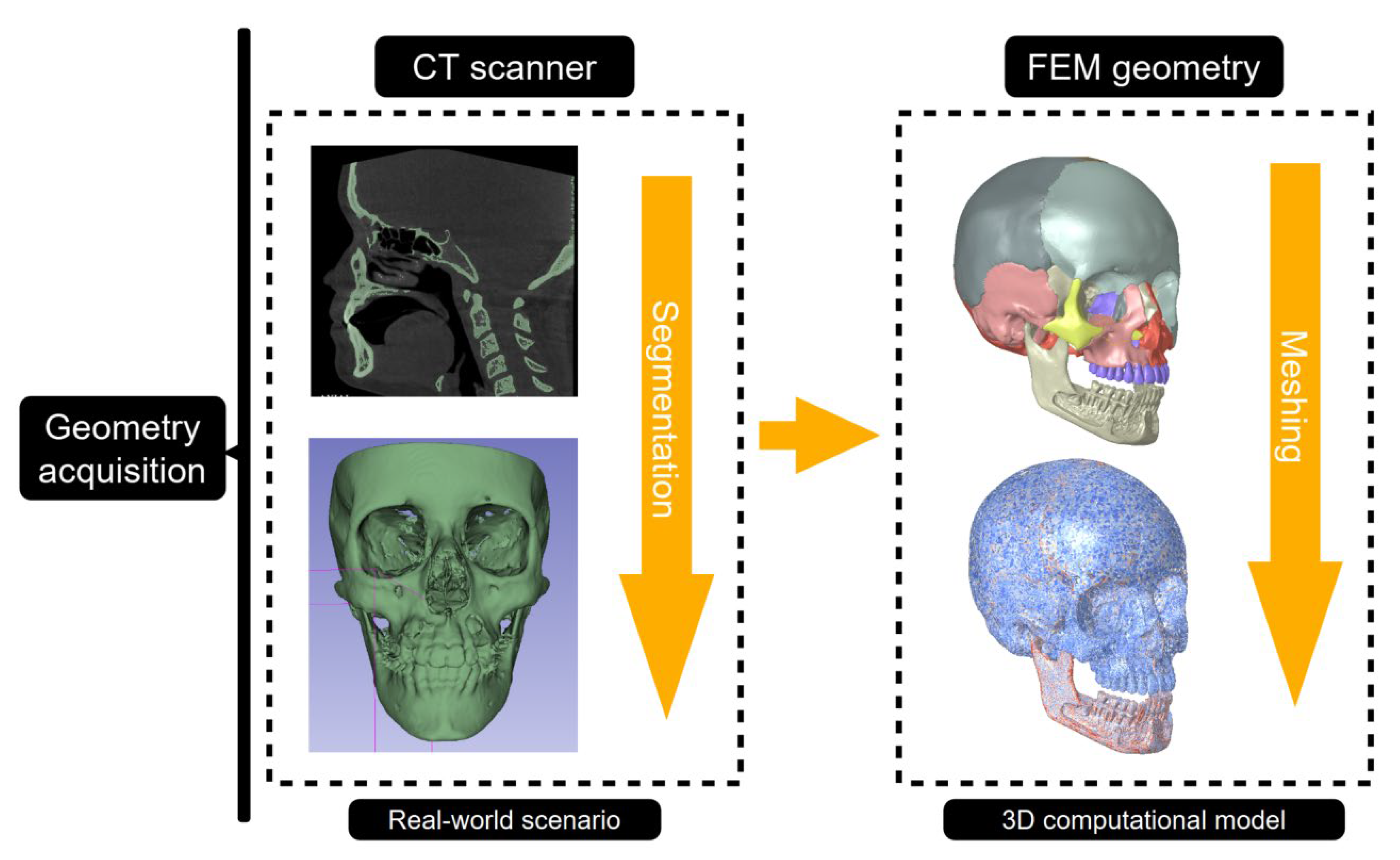 Preprints 170688 g003