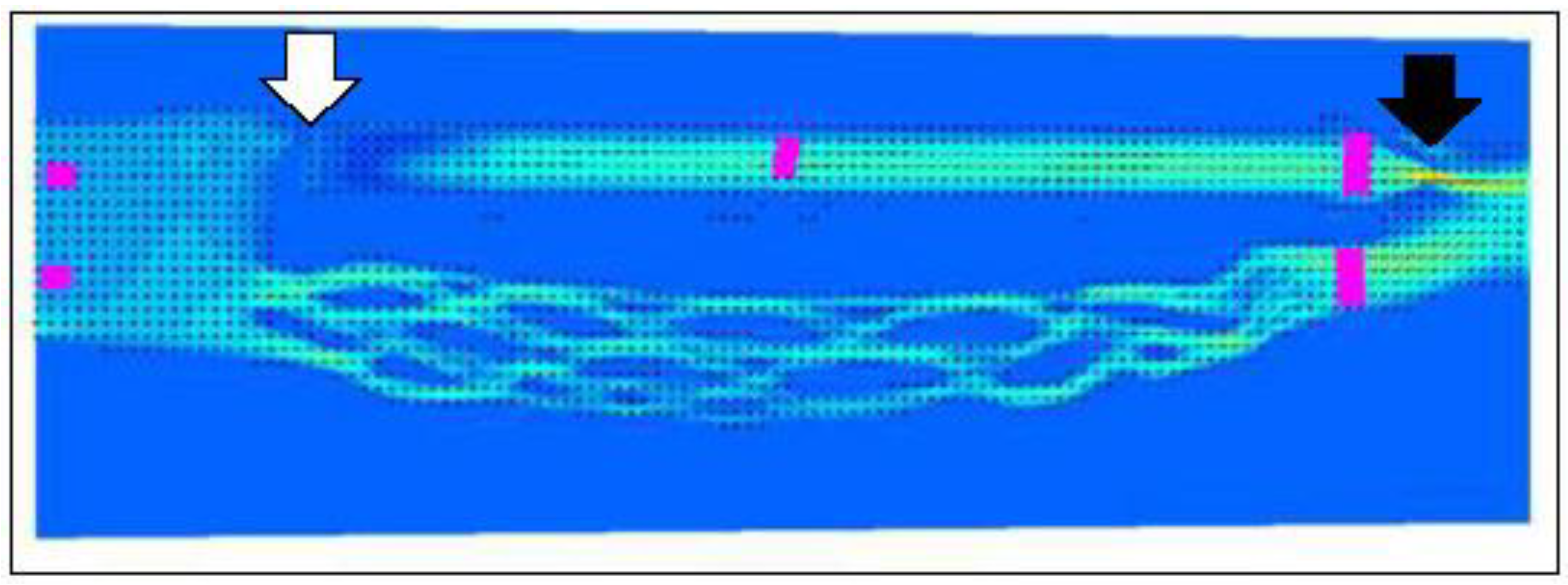 Preprints 102328 g002