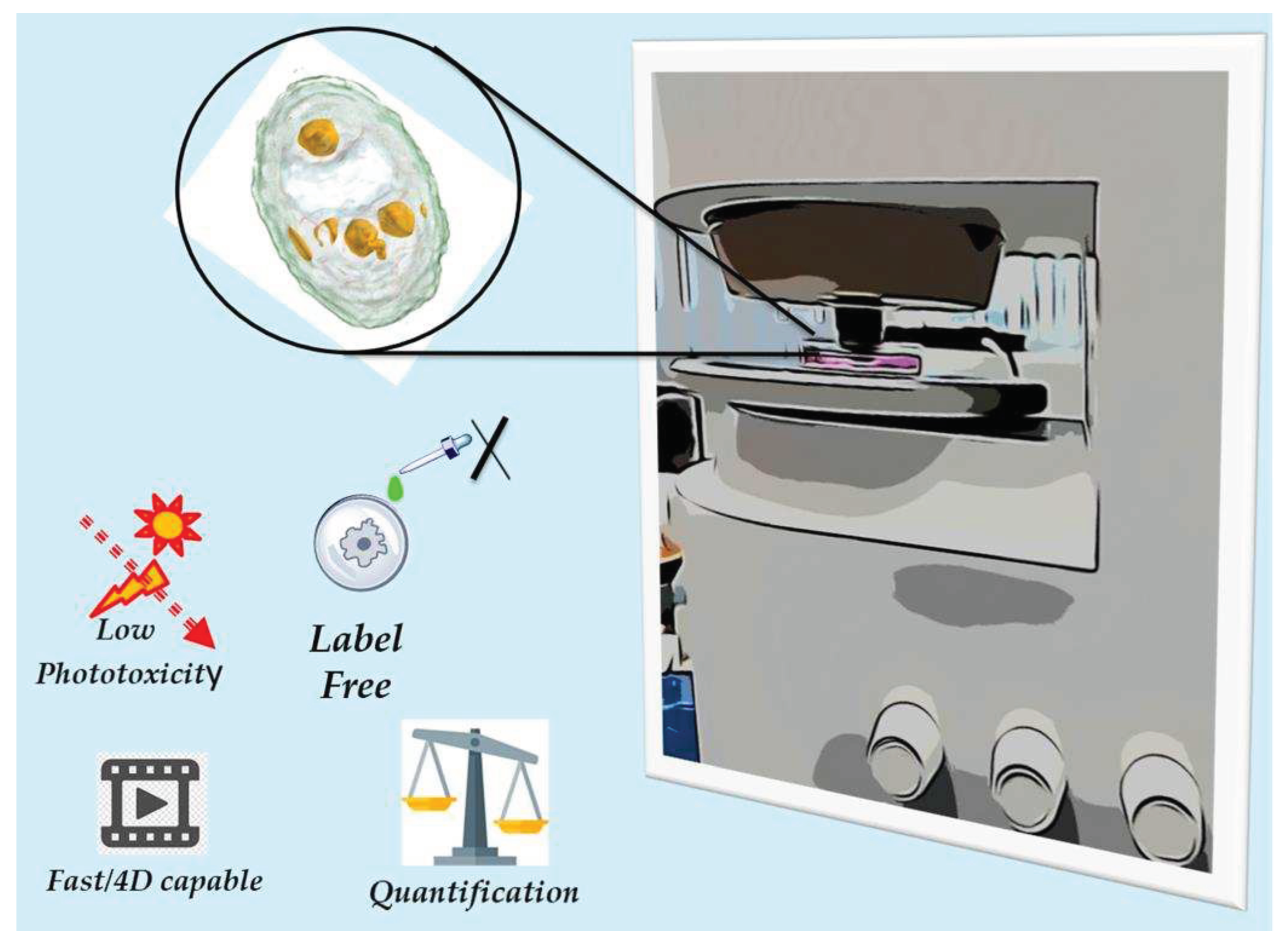Preprints 87384 g001