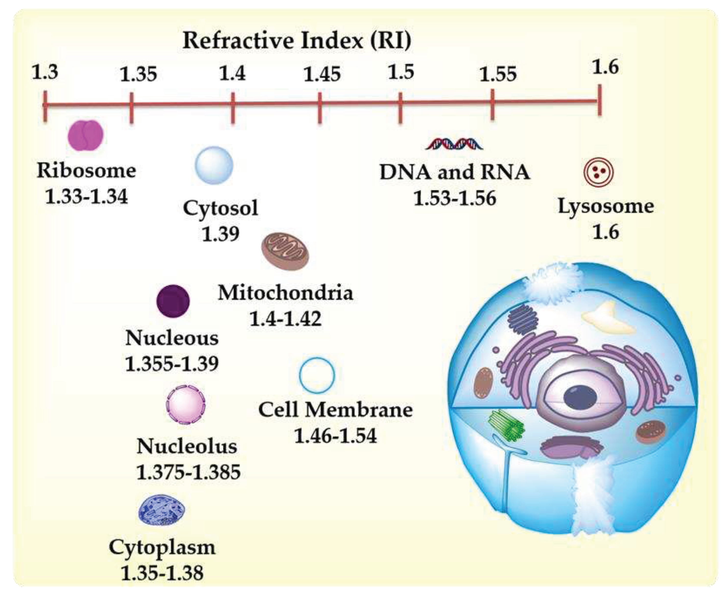 Preprints 87384 g002