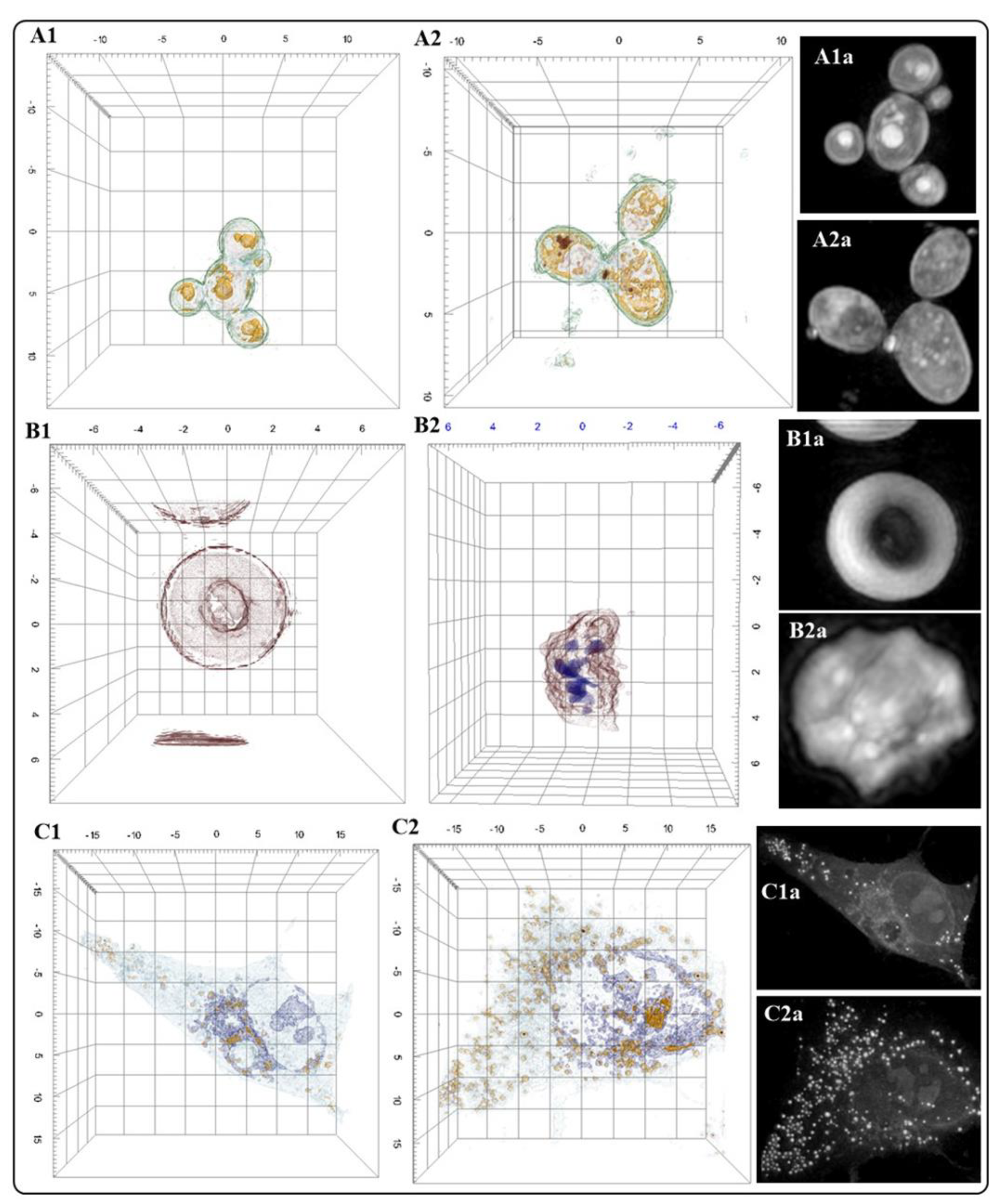 Preprints 87384 g004