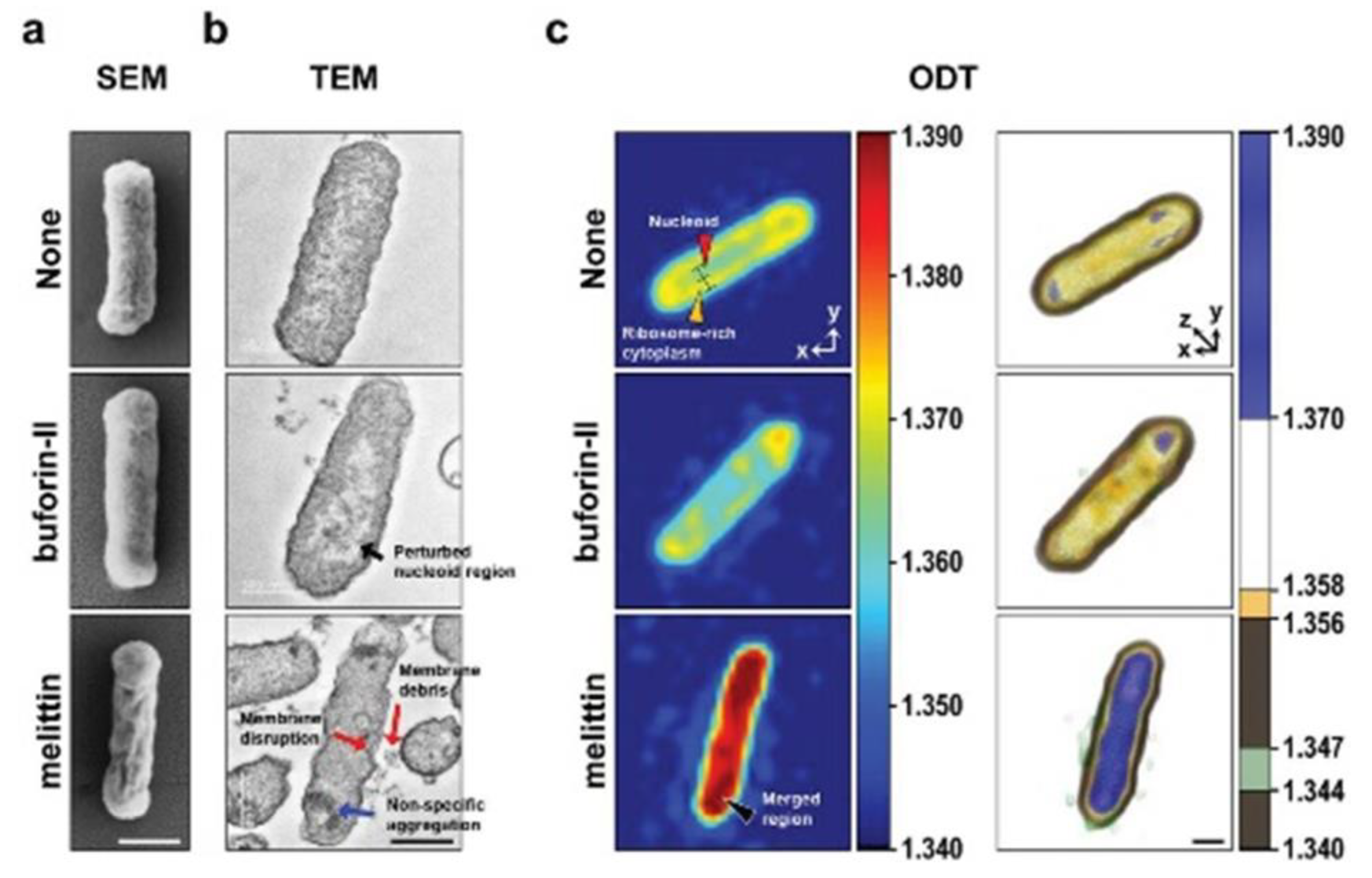 Preprints 87384 g008