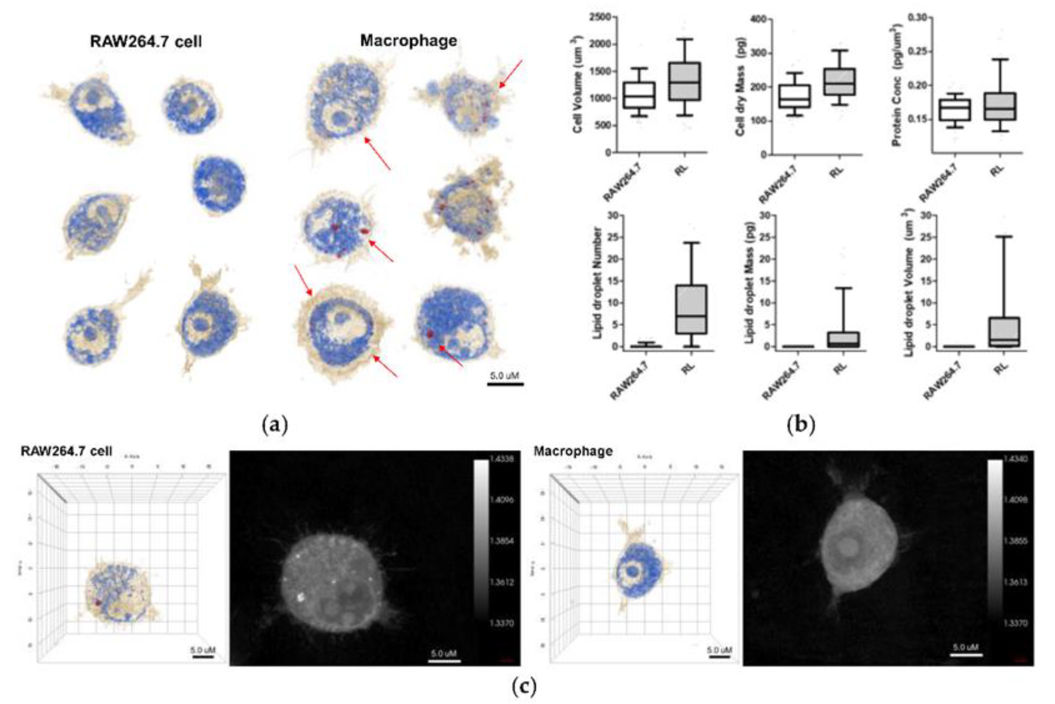 Preprints 87384 g010