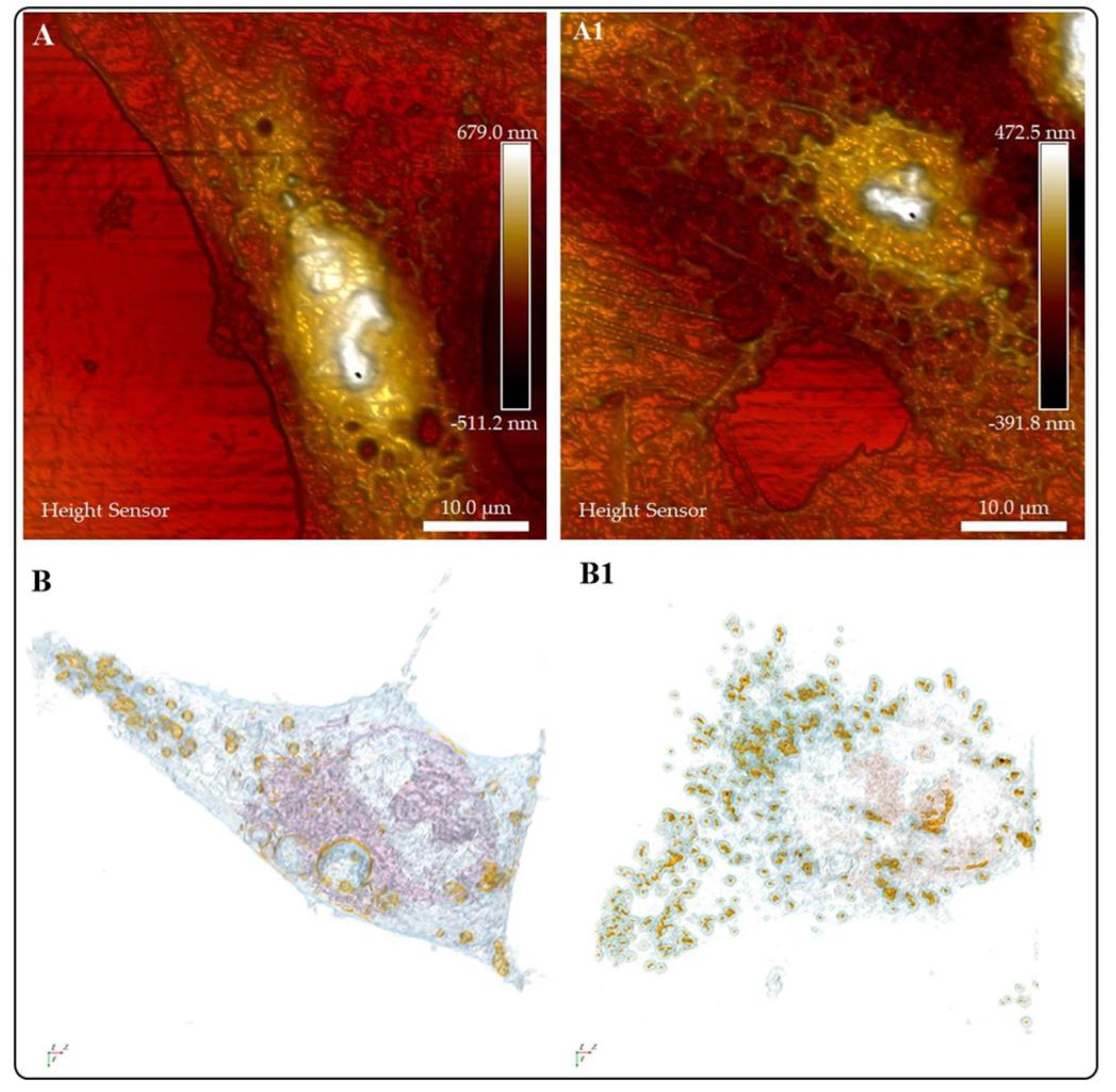 Preprints 87384 g011