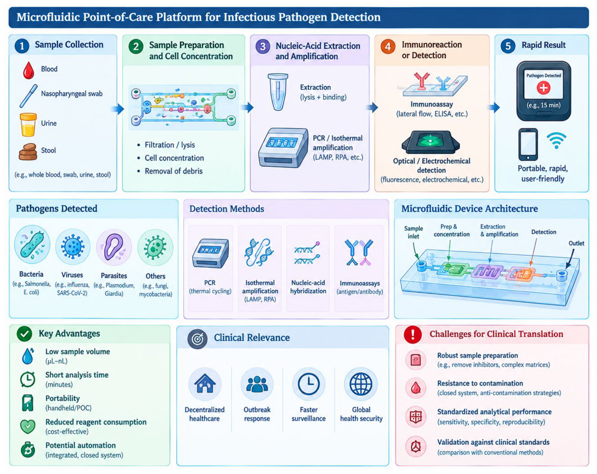 Preprints 237736 g003 Preprints 237736 g003