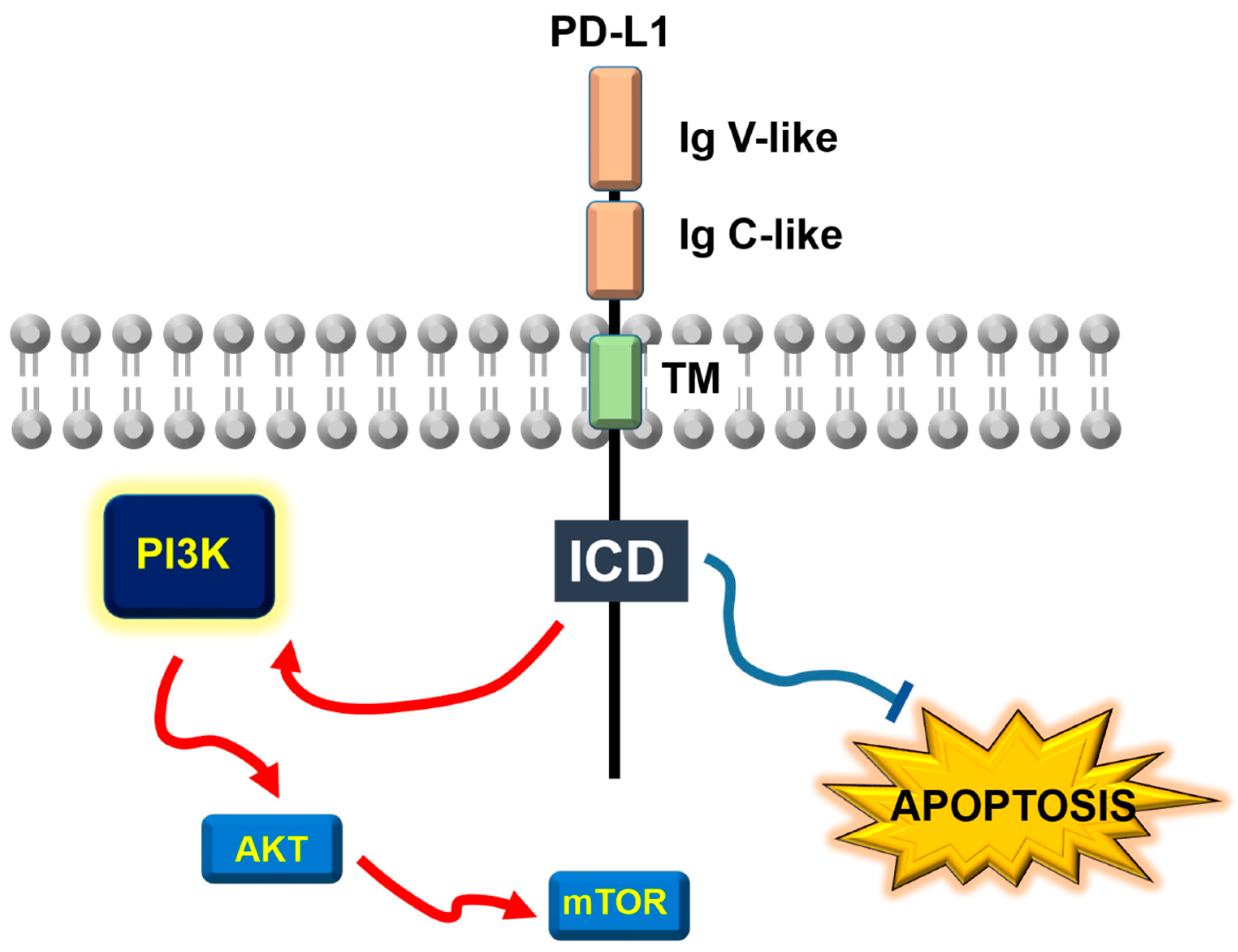 Preprints 151930 g001