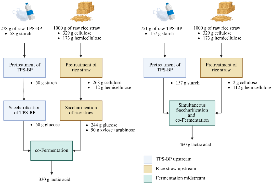 Preprints 234746 sch001 Preprints 234746 sch001