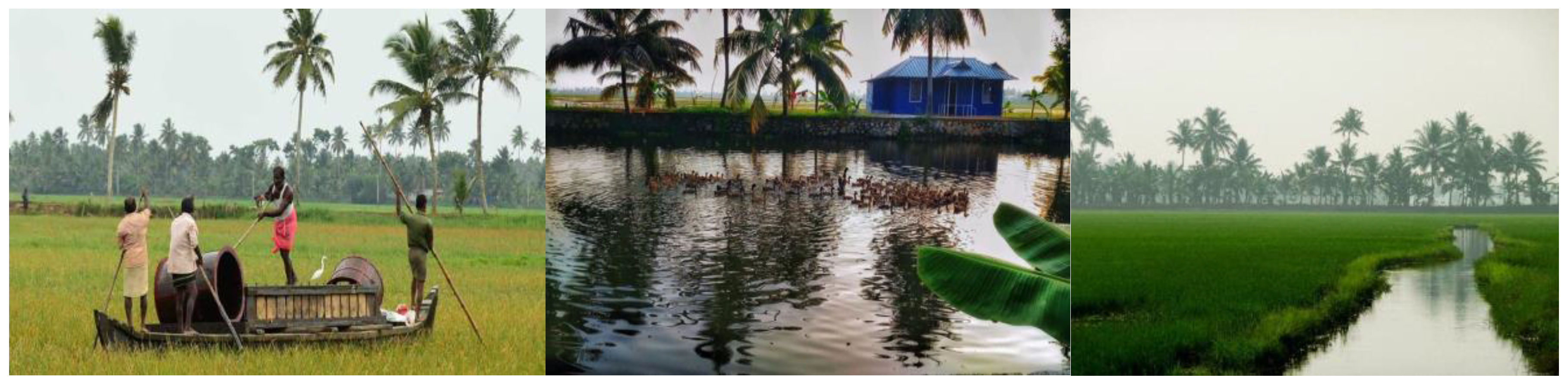 Preprints 97896 g003