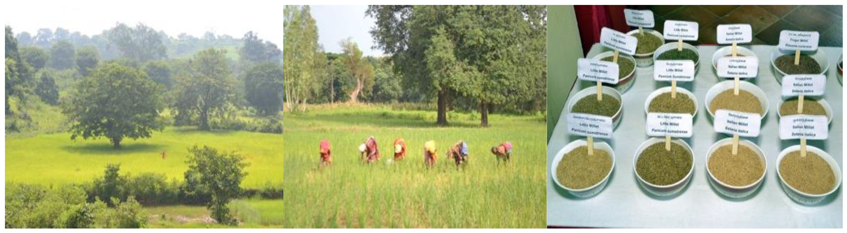 Preprints 97896 g004