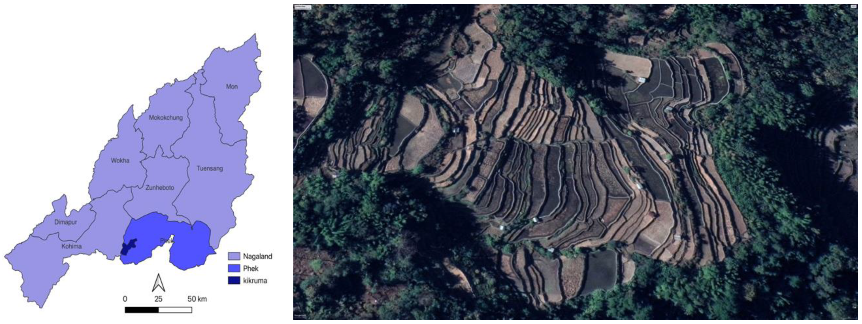 Preprints 97896 g006