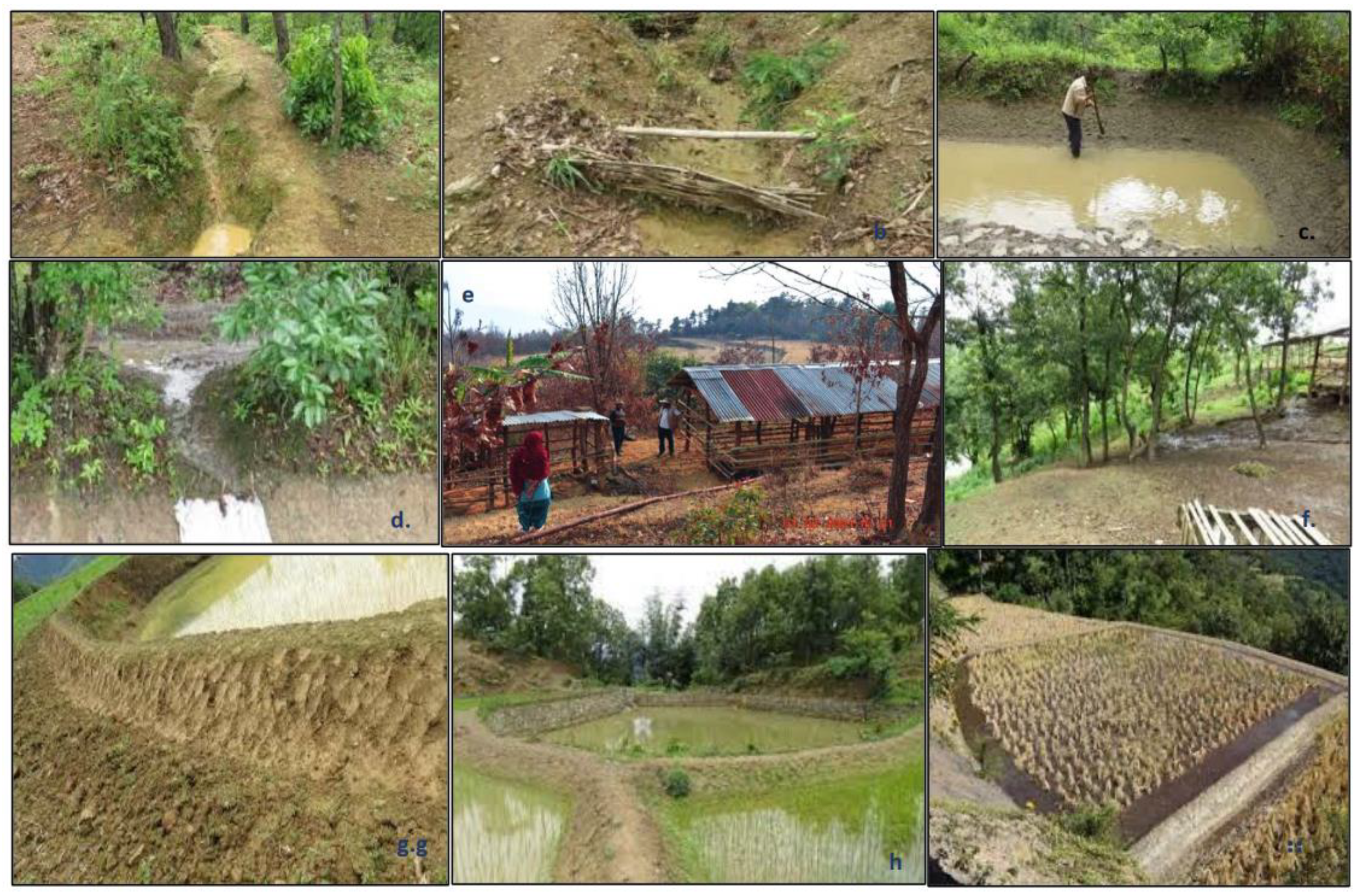 Preprints 97896 g007