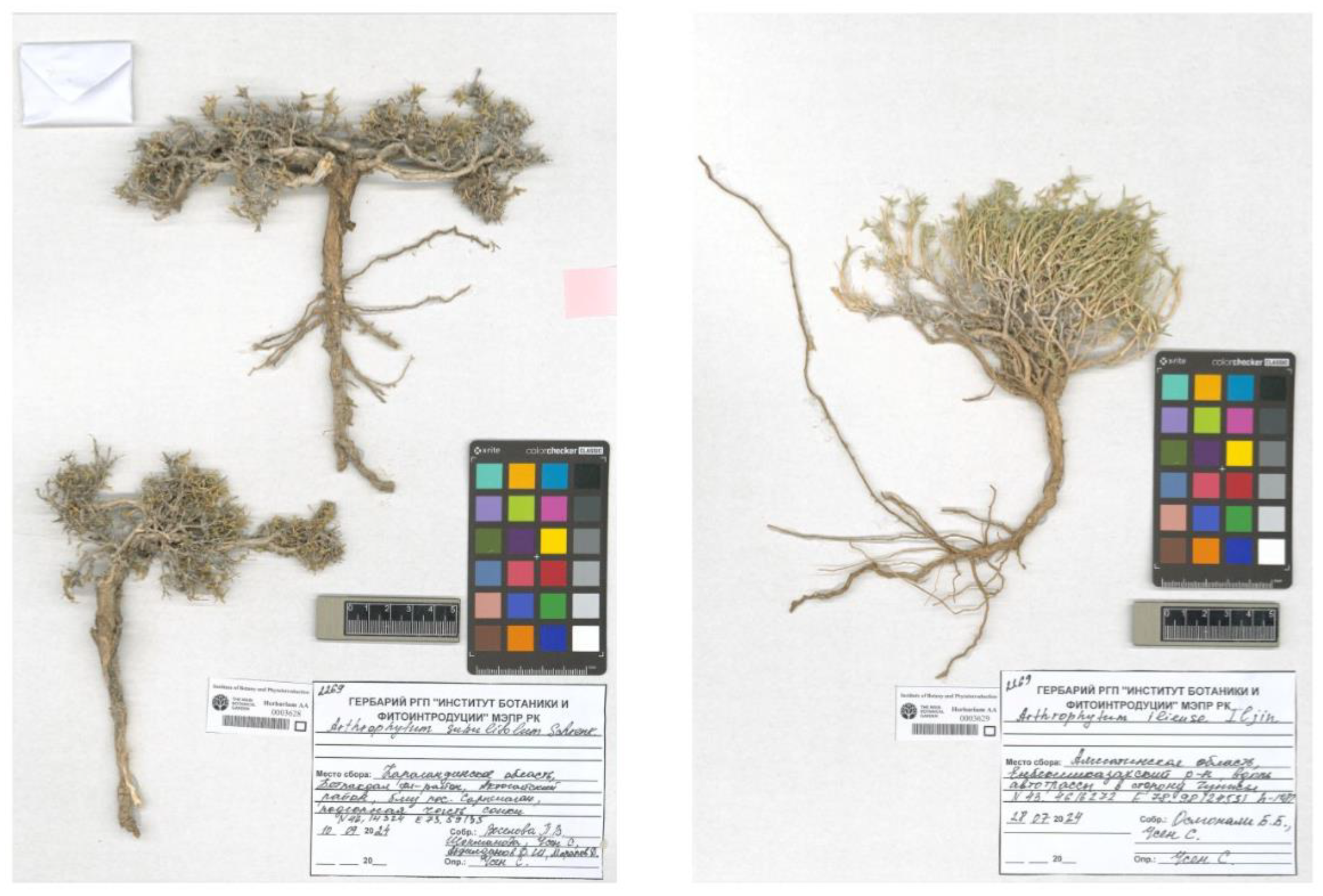 Preprints 183487 g0a1