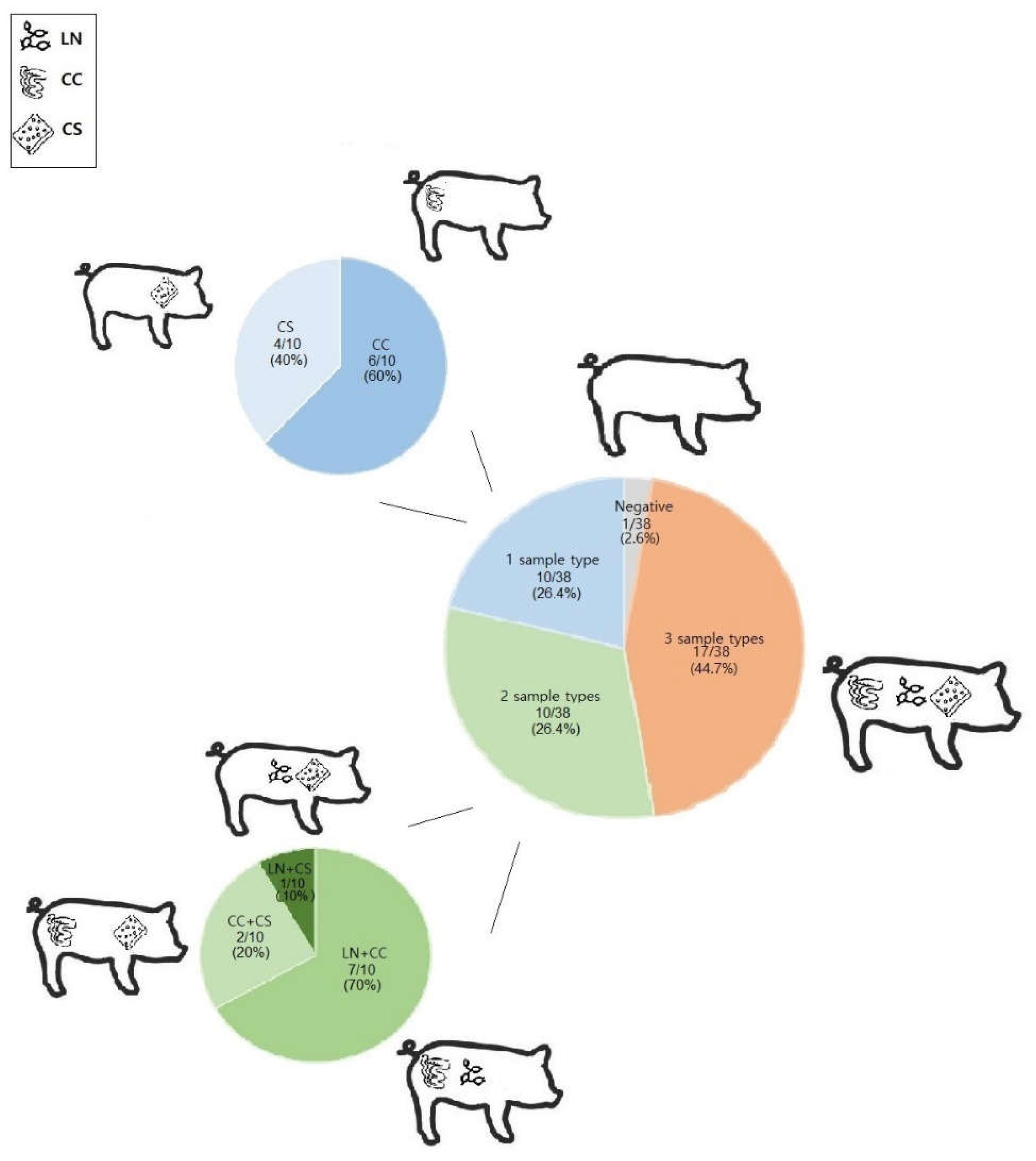 Preprints 121438 g001