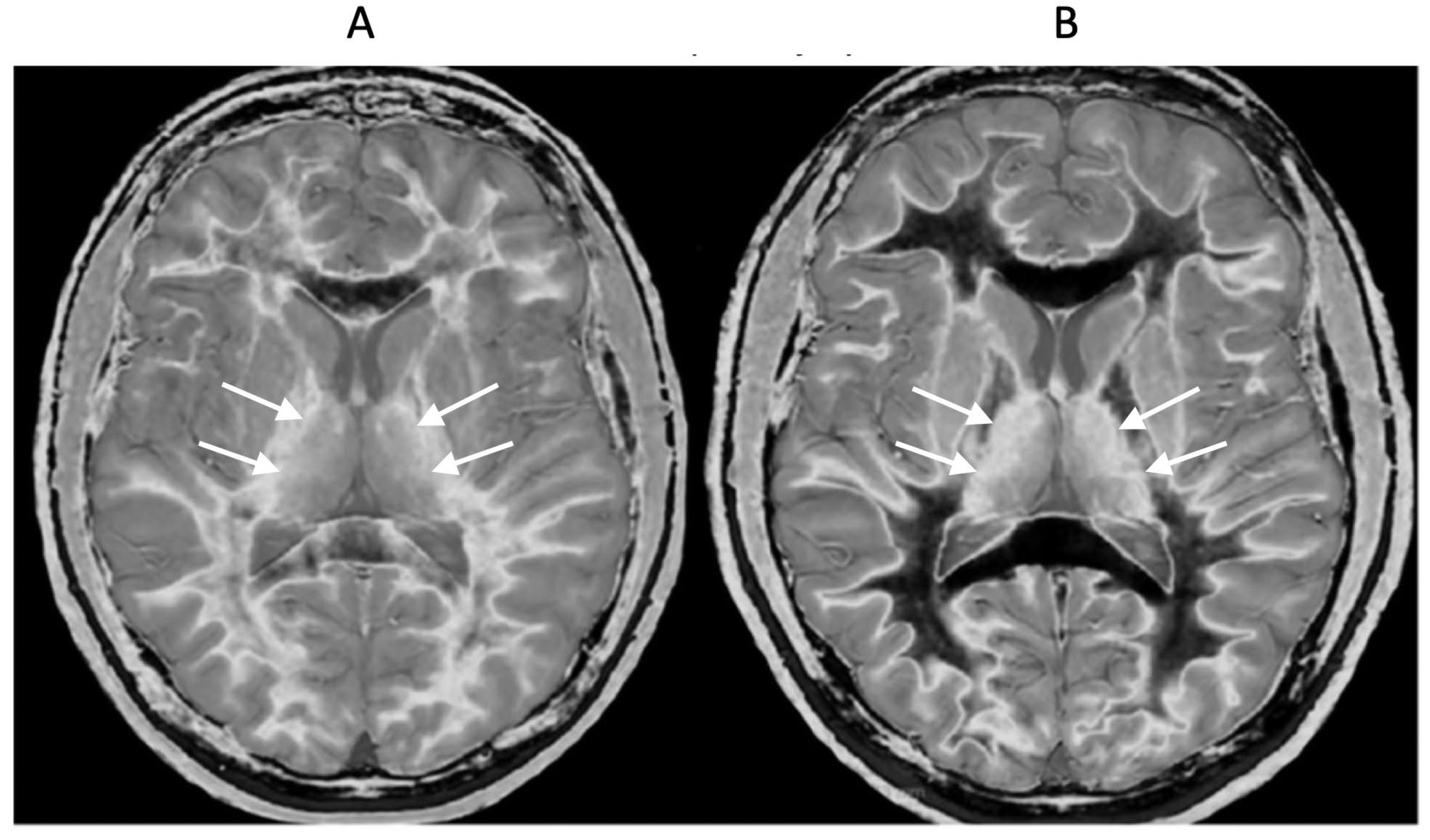 Preprints 161485 g012