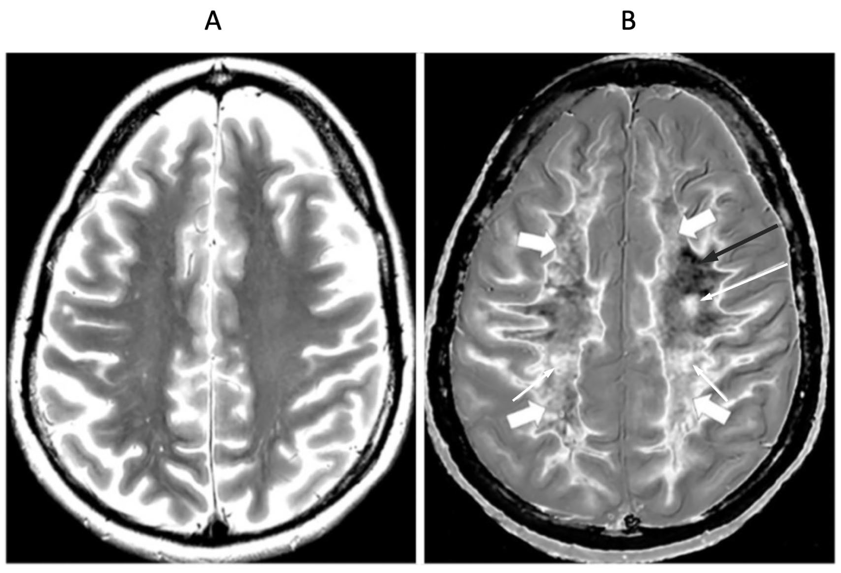 Preprints 161485 g015