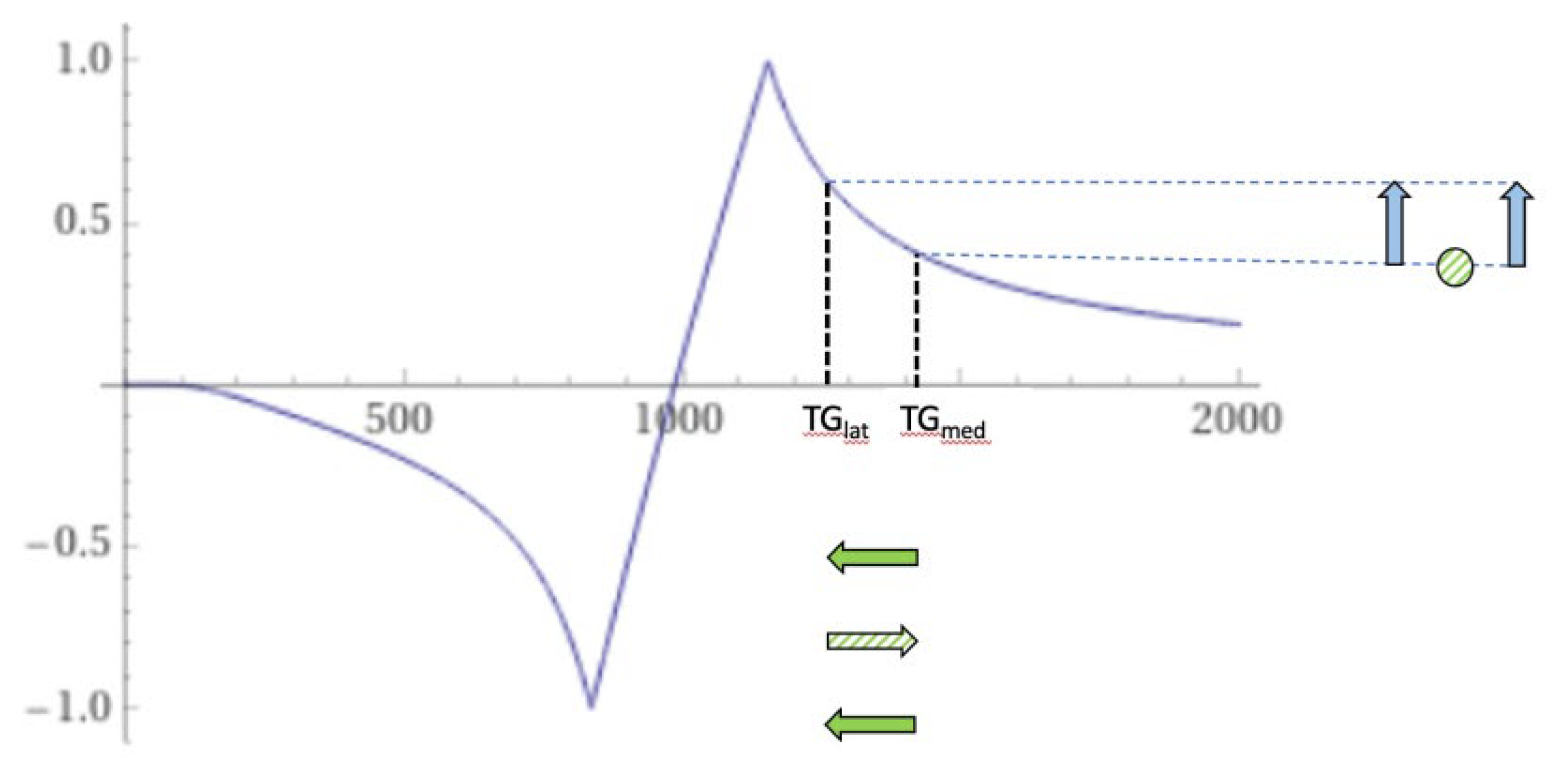 Preprints 161485 g024
