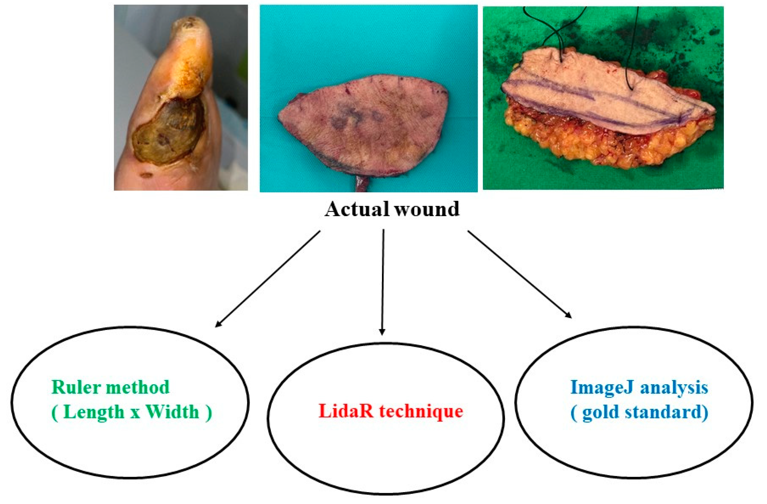 Preprints 85043 g003
