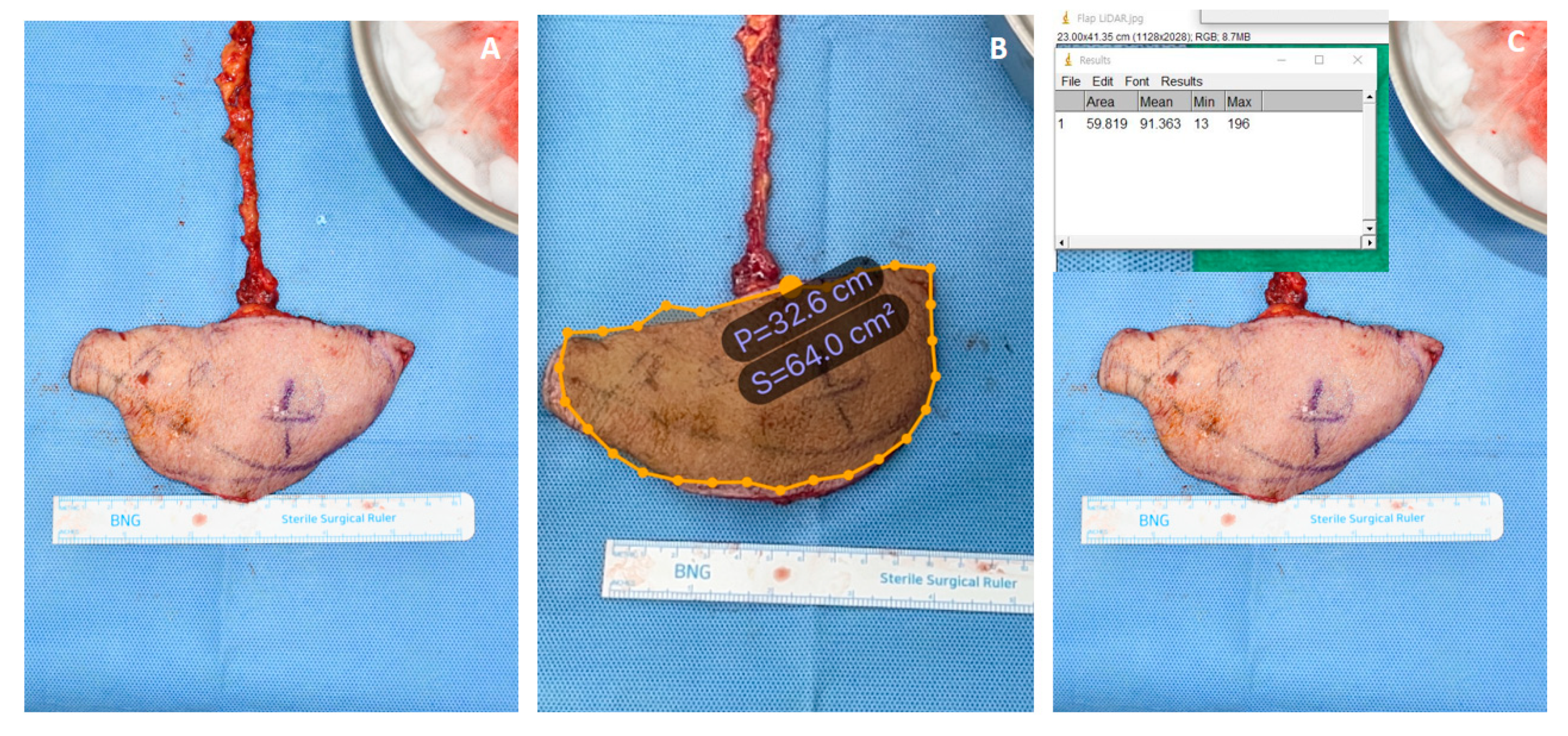 Preprints 85043 g007