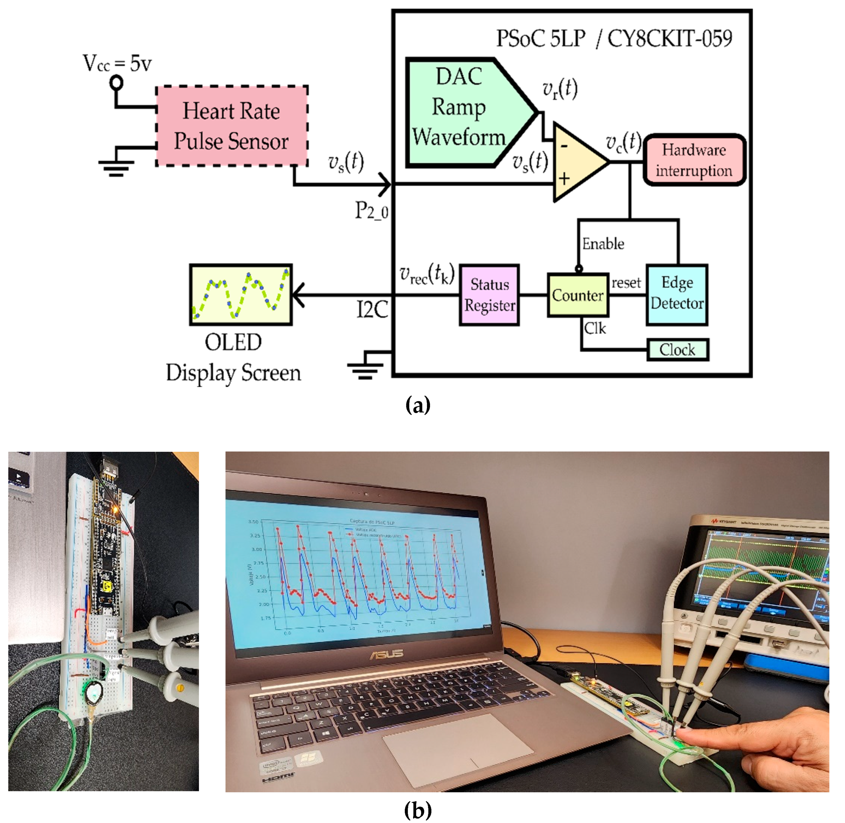Preprints 190145 g004