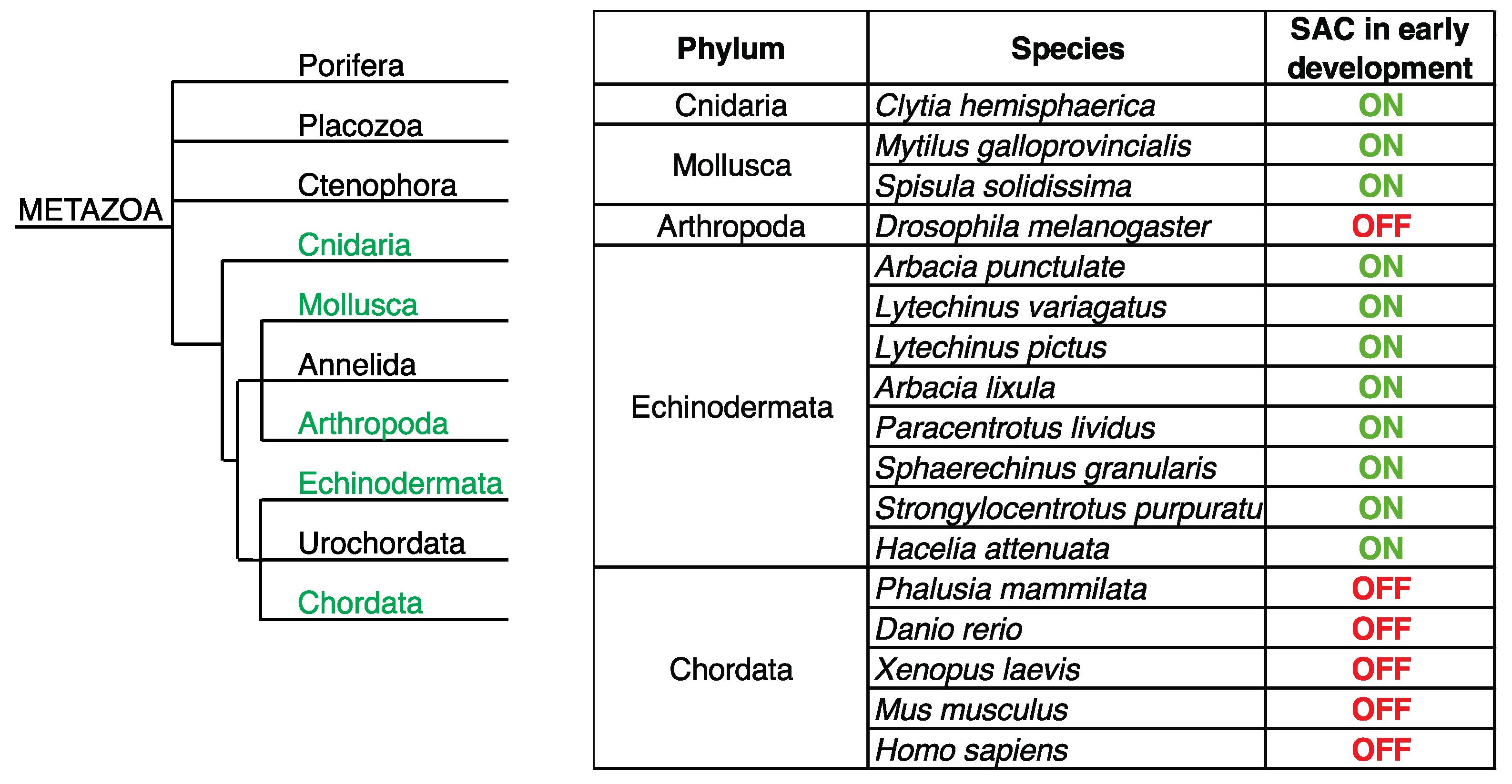 Preprints 94279 g002