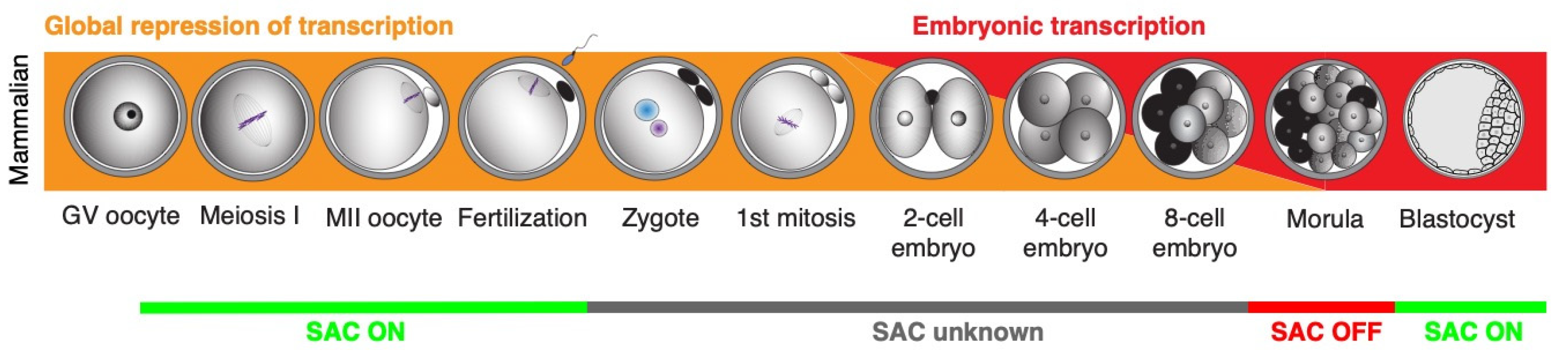 Preprints 94279 g003