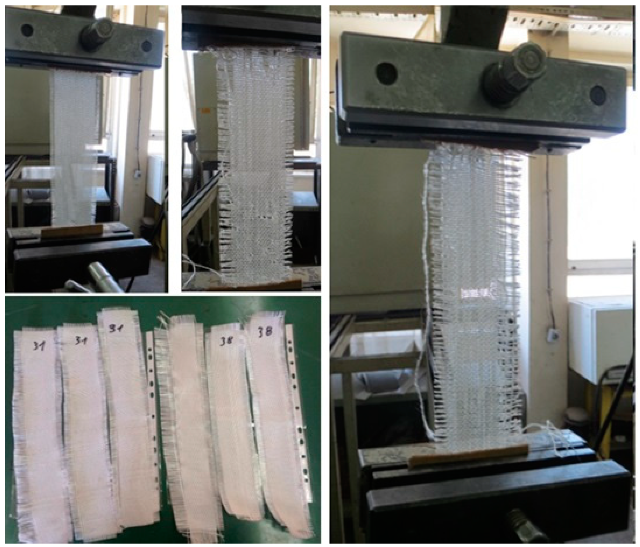 Preprints 140572 g001