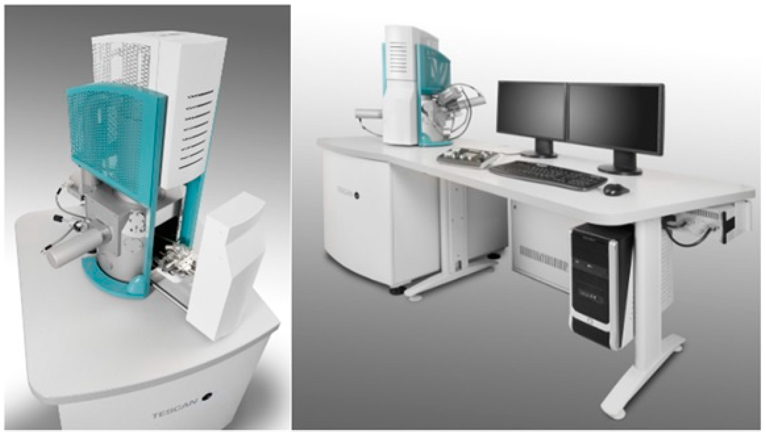 Preprints 140572 g005