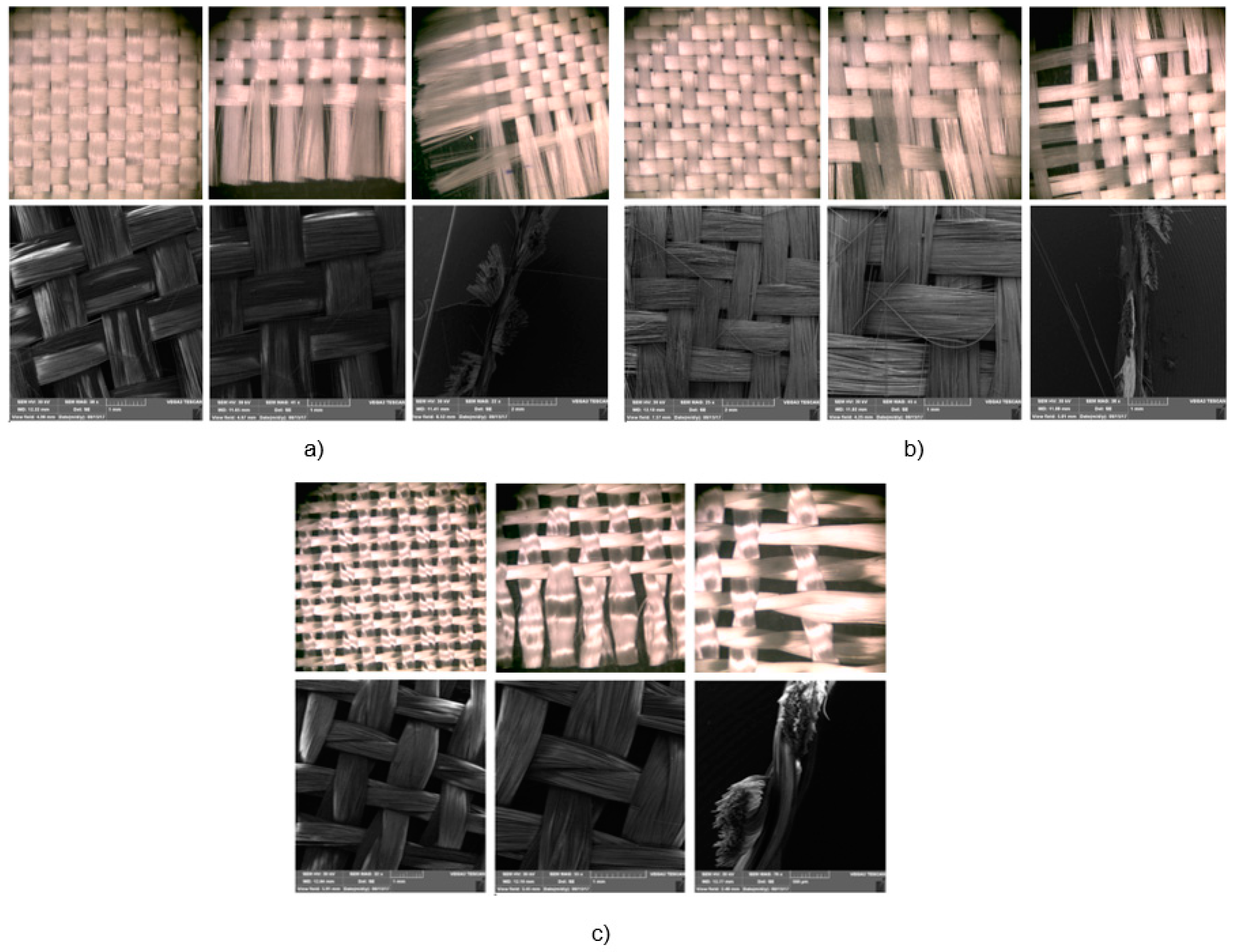 Preprints 140572 g006